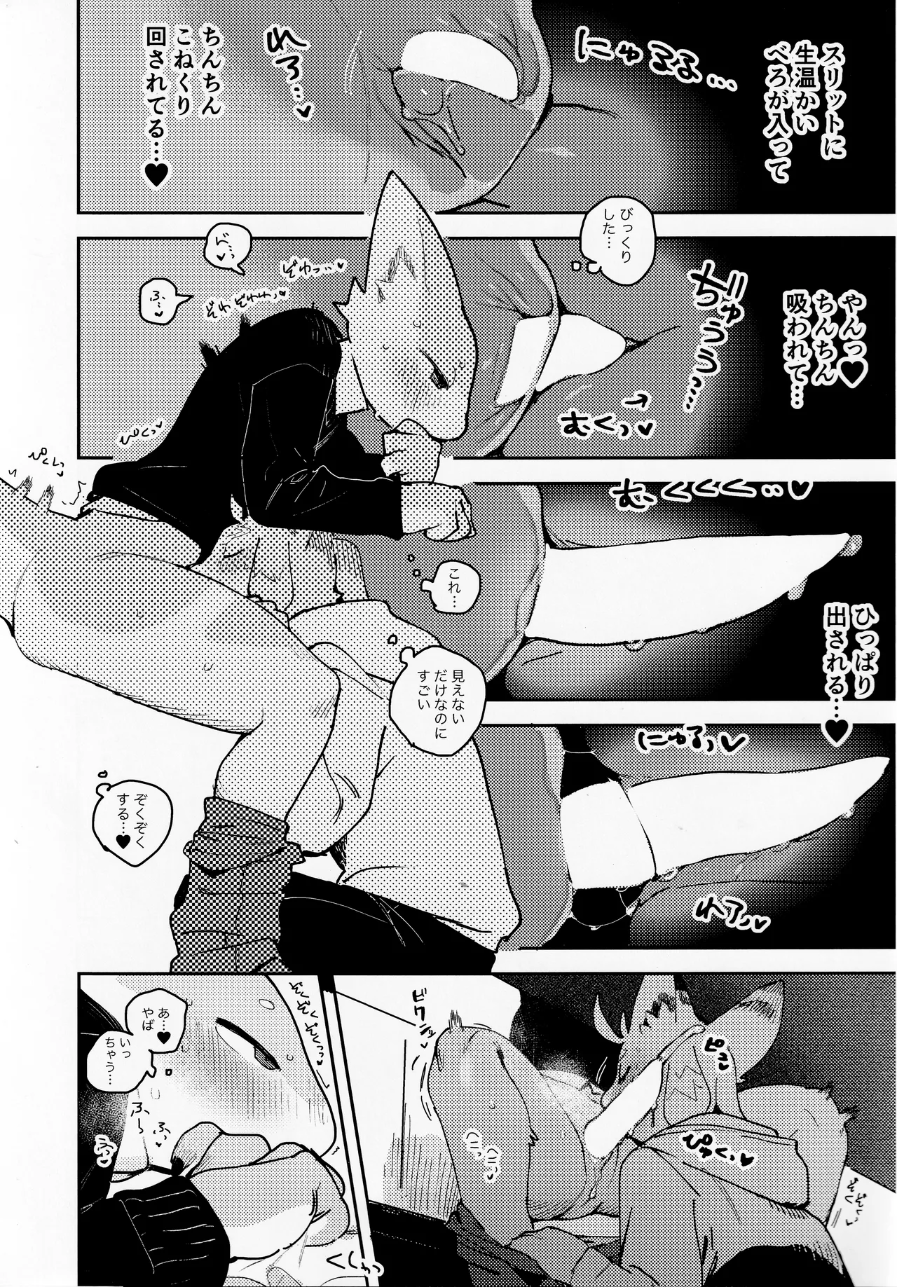 TSBON5 imagen número 12