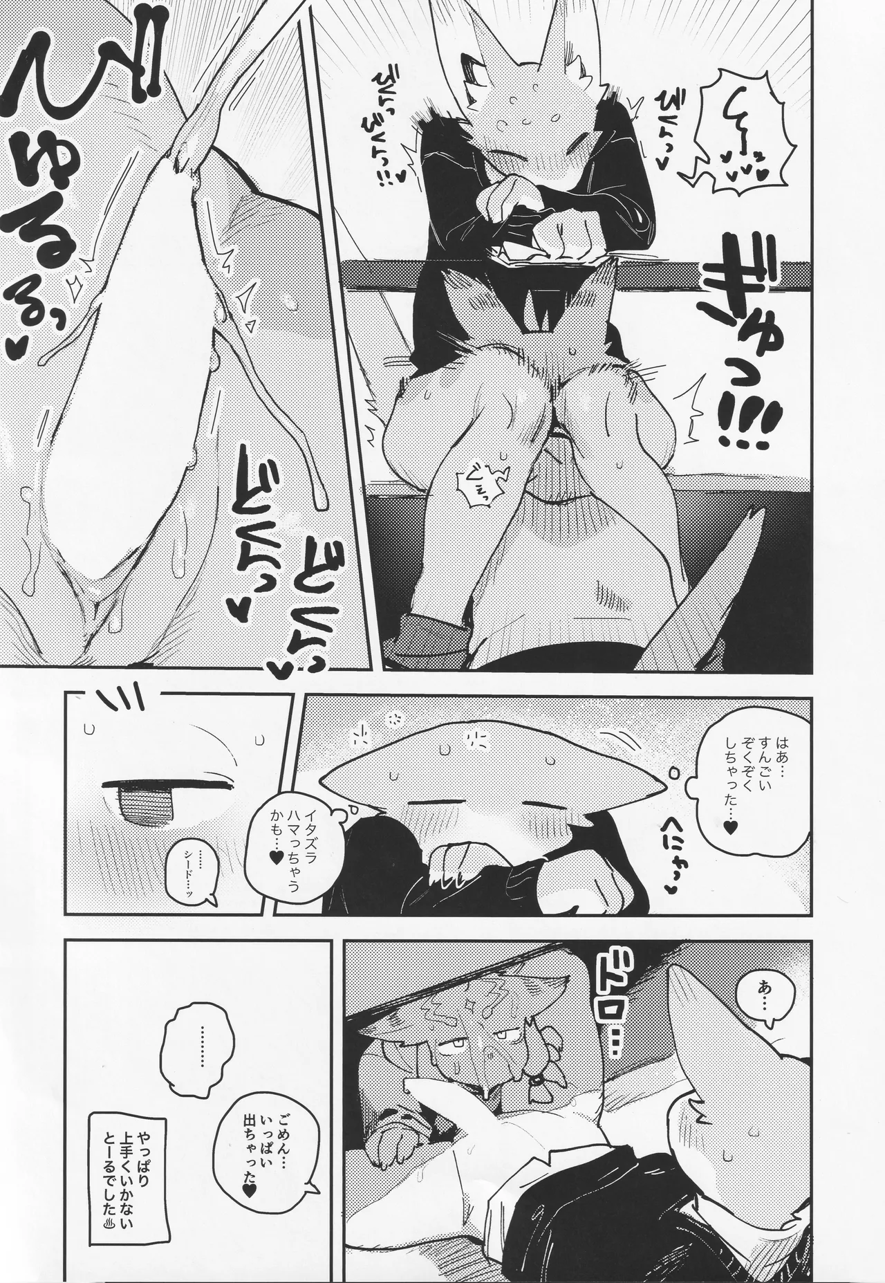 TSBON5 imagen número 13