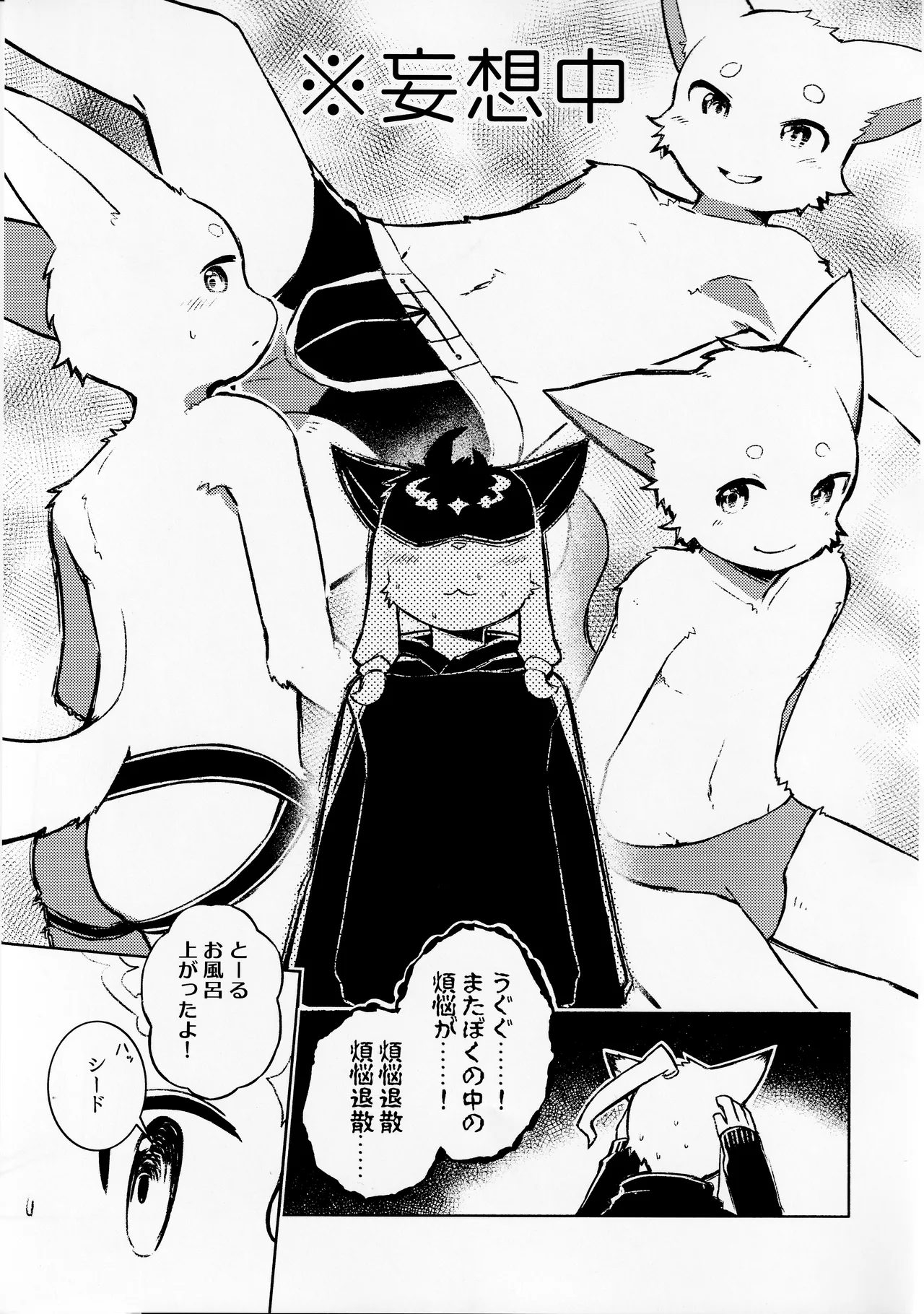 TSBON5 imagen número 18