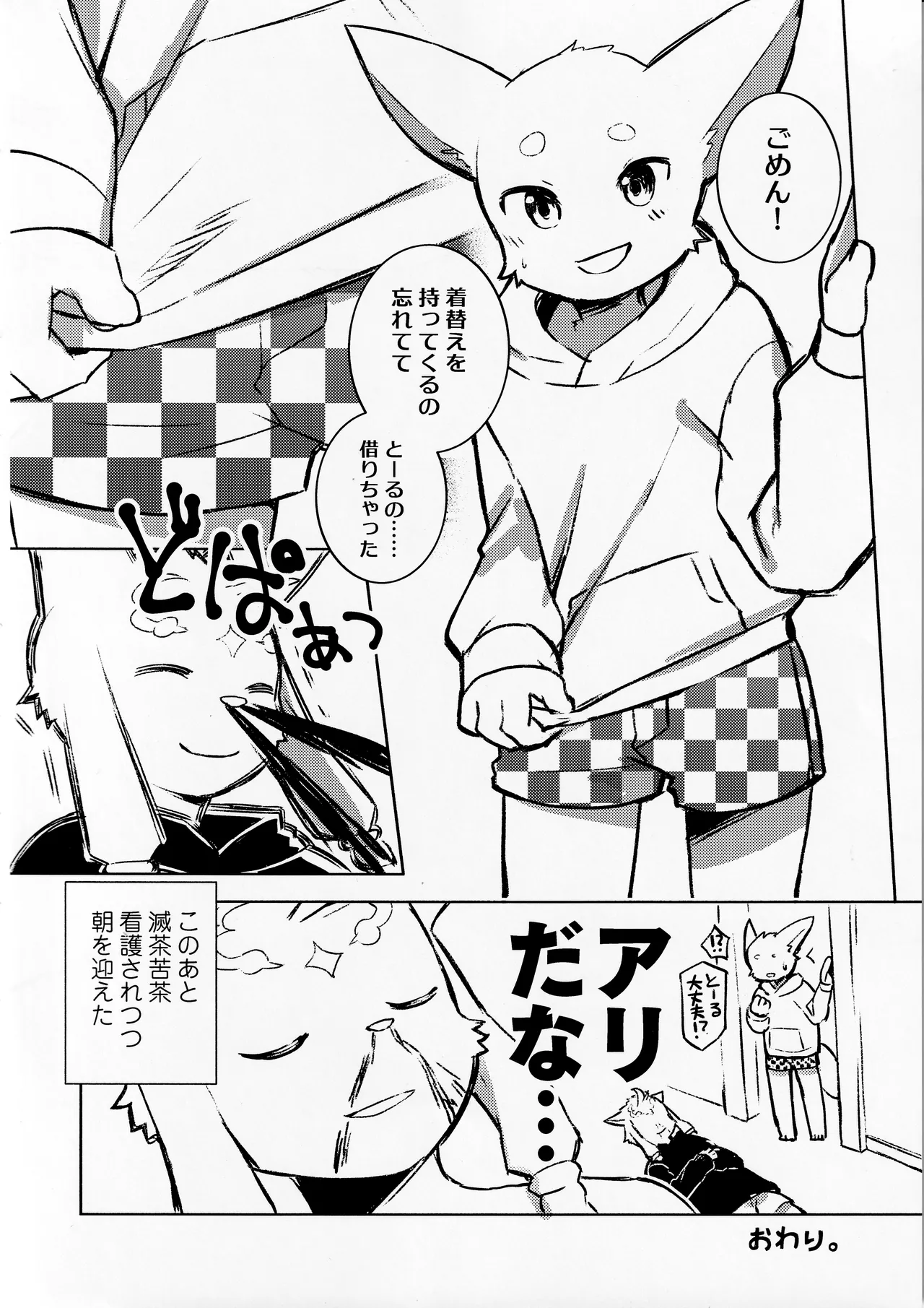 TSBON5 imagen número 19