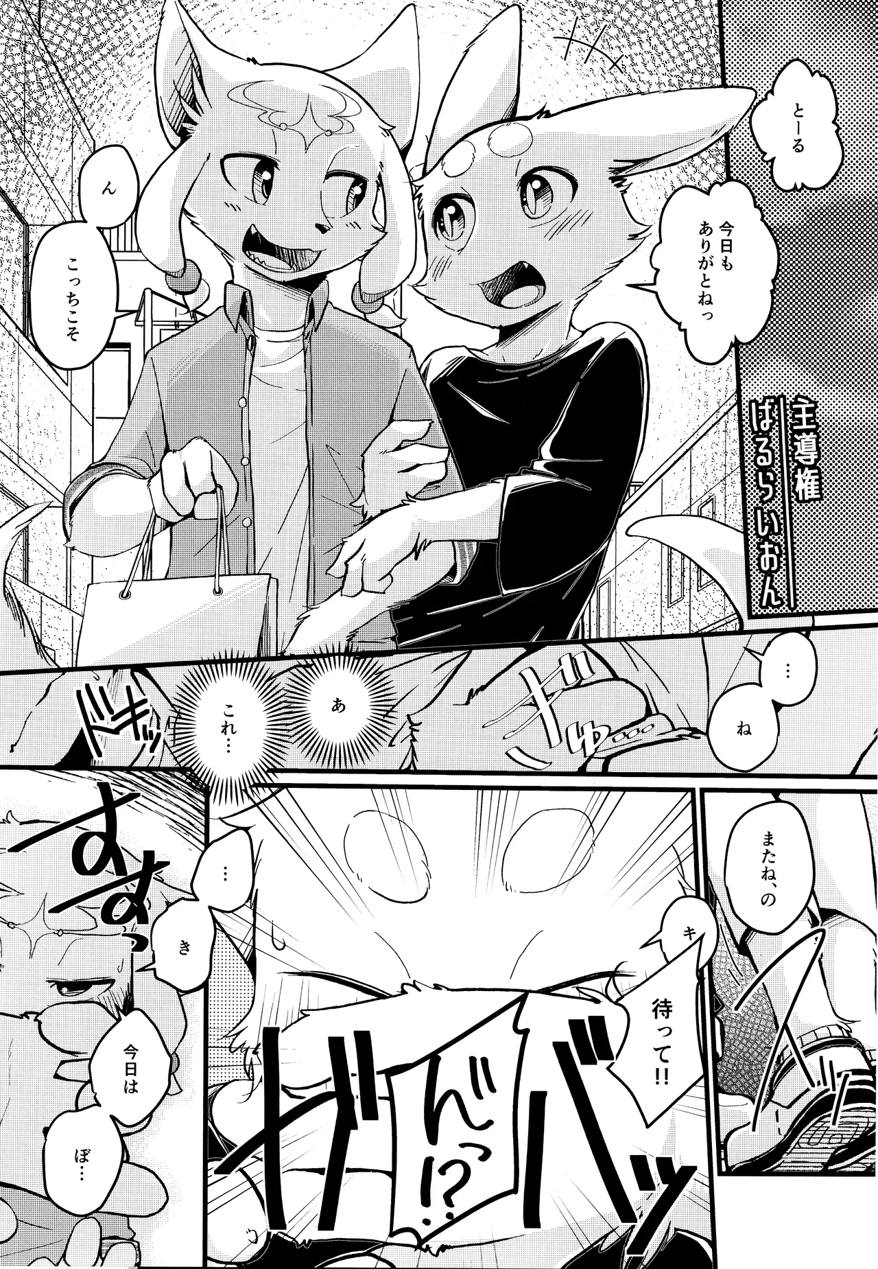 TSBON5 imagen número 20