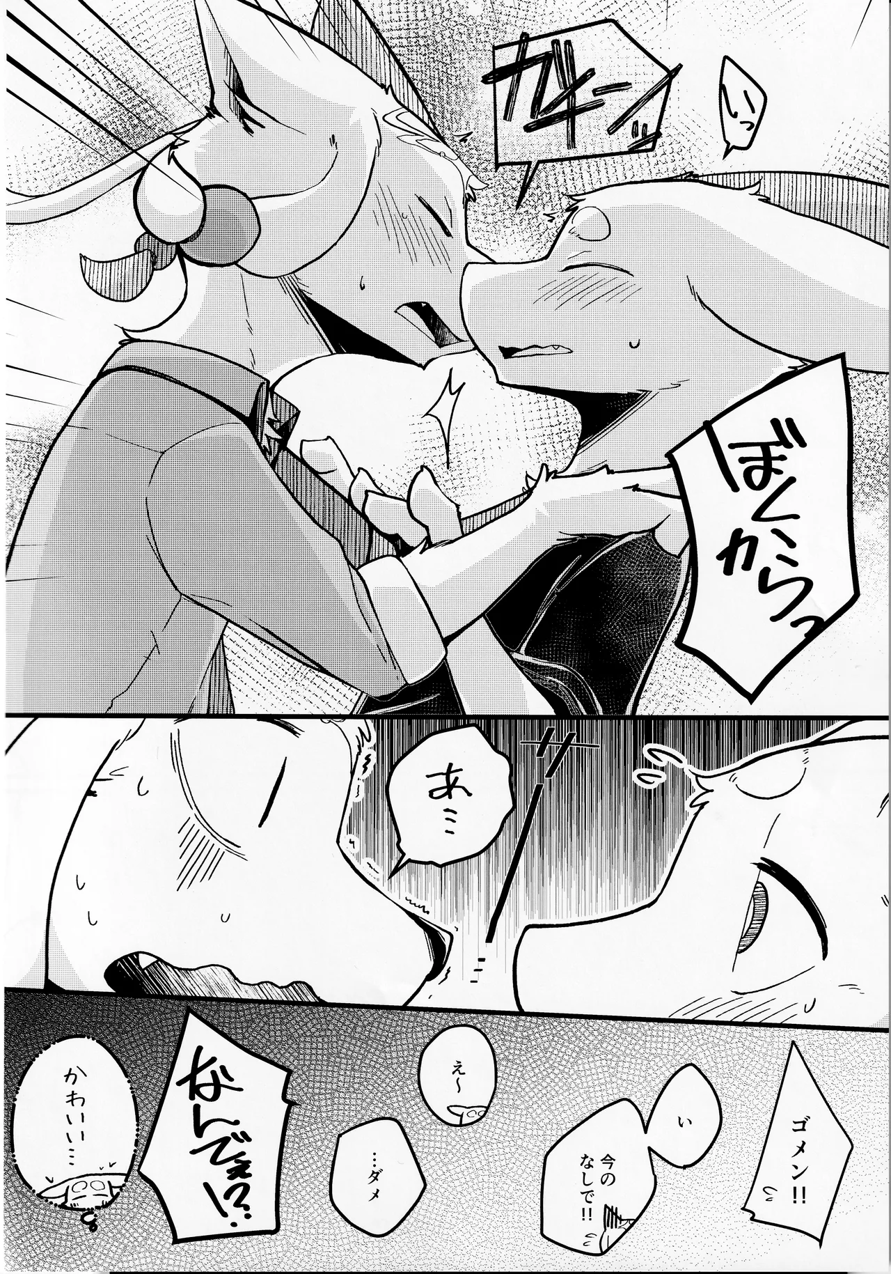 TSBON5 imagen número 21