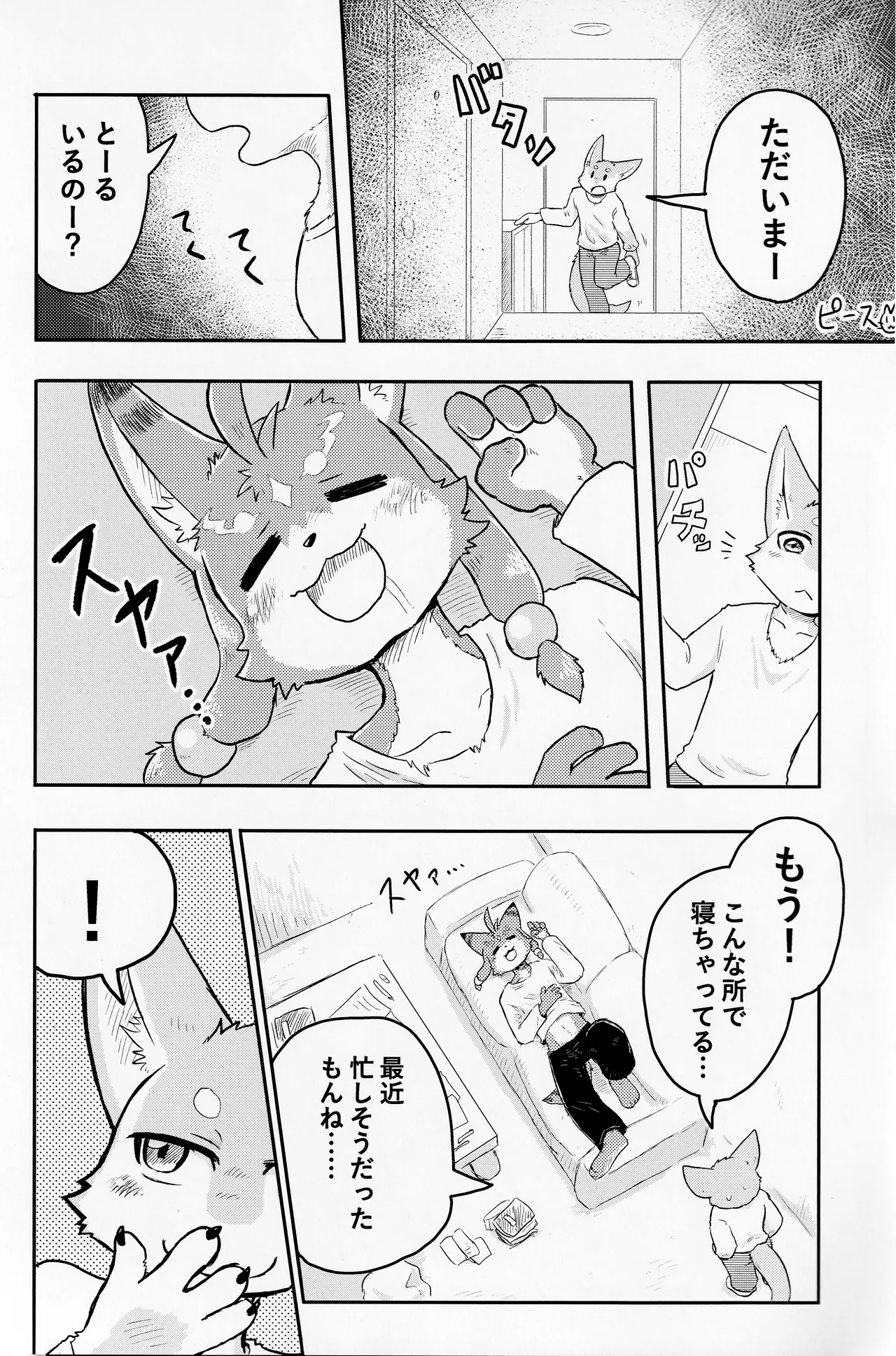 TSBON5 imagen número 22