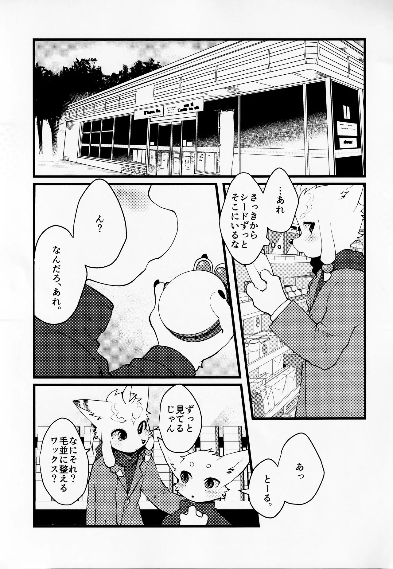 TSBON5 imagen número 26