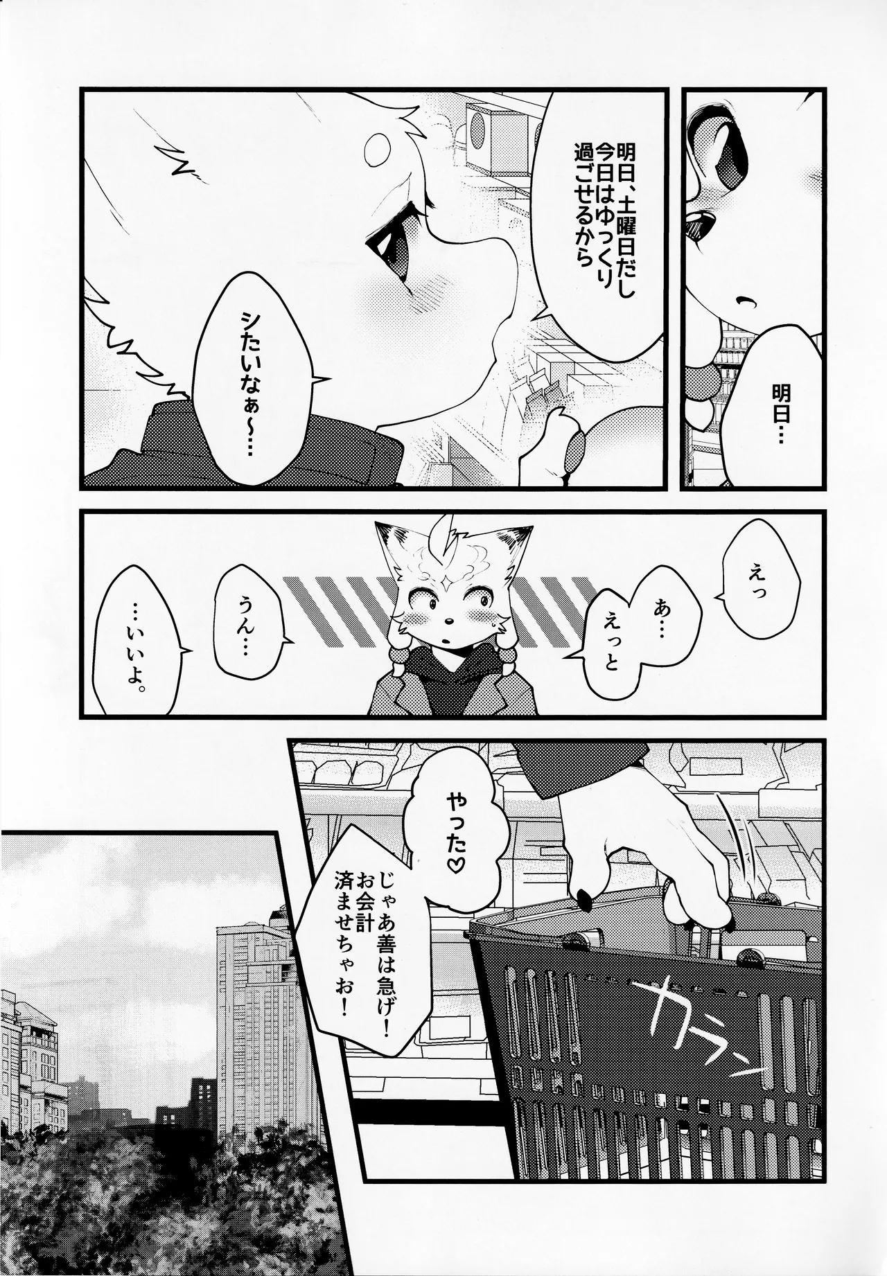 TSBON5 imagen número 28