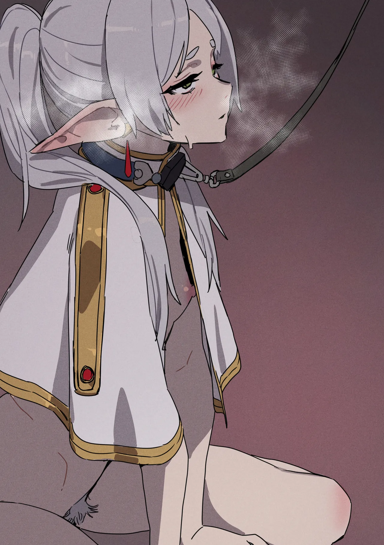 [LUXsumildo] Chagjeong-ui Frieren -Jogyopyeon- (Sousou no Frieren) [Korean] [Decensored] image number 2