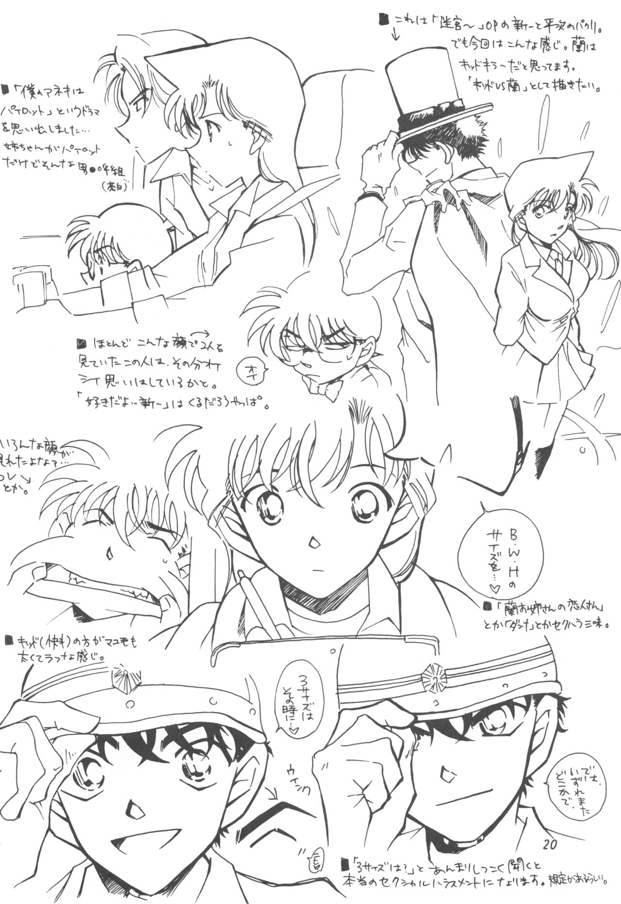 (CR35) [chicken zombies (air)] Happy★Flight (Detective Conan) 图片编号 19