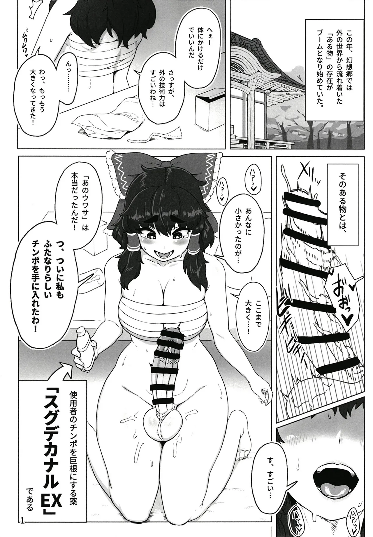 [カリ＝ハンドル] 東方ふたなり事変 巫女と妖精、初めての尿道セックス (Touhou Project) [Digital] image number 3