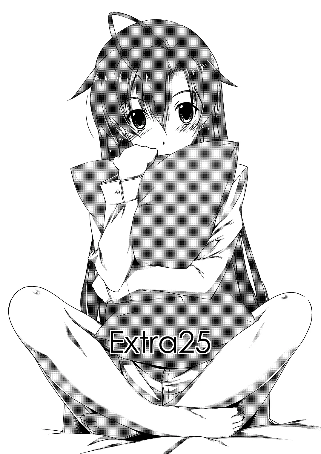 [Angyadow (Shikei)] Extra25 [Digital] image number 1