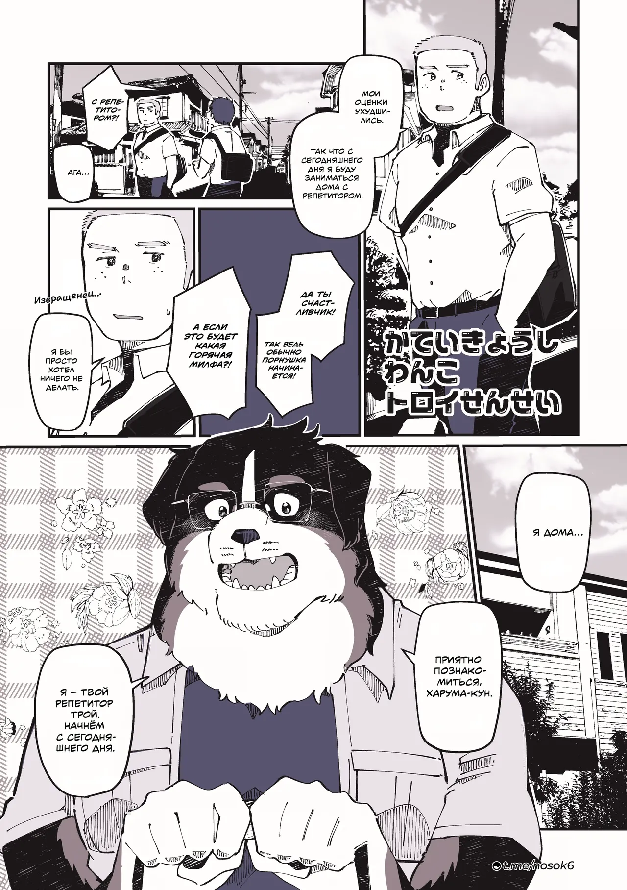 Troy-sensei, The Home Tutor Dog 画像番号 11