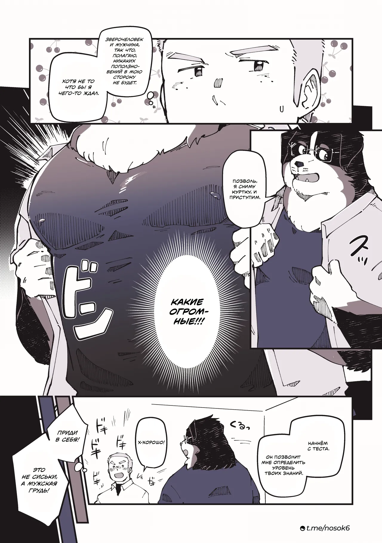 Troy-sensei, The Home Tutor Dog 画像番号 12