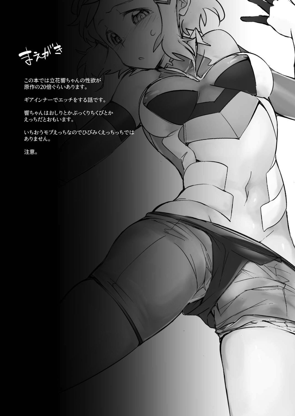 [TATESIMA. (Yokosima)] Symphogear no Erohon | 심포기어의에로책 (Senki Zesshou Symphogear) [Korean] [Digital] image number 2