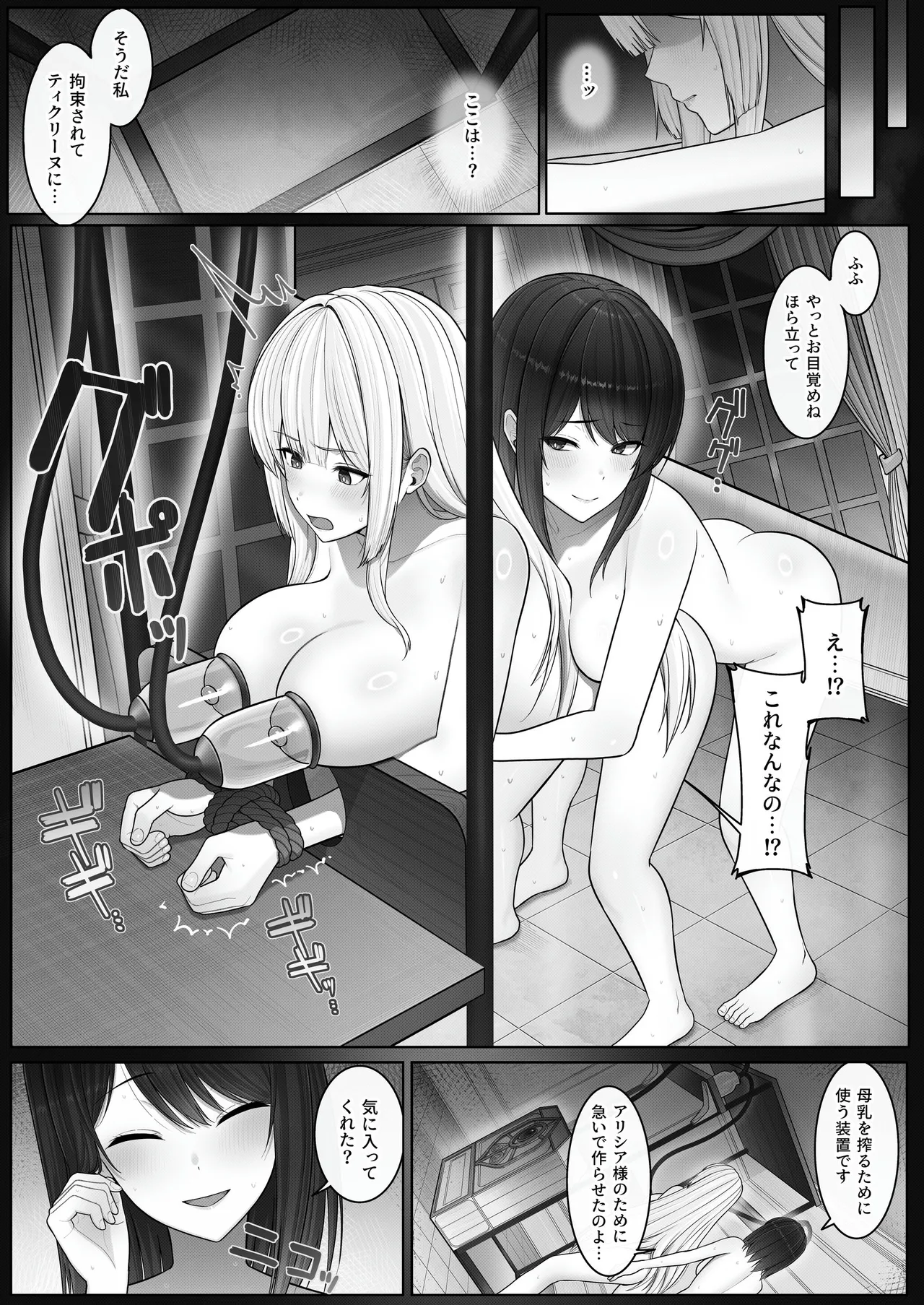 [Seika Kairaku Shoten (Yamada Rimuru)] Seibo Taishitsu ~Bonyuu ga Deru Taishitsu ni Nari Hentai Jijuu to Akutoku Kizoku ni Moteasobareru Hime Kishi Monogatari~ [Digital] 画像番号 13