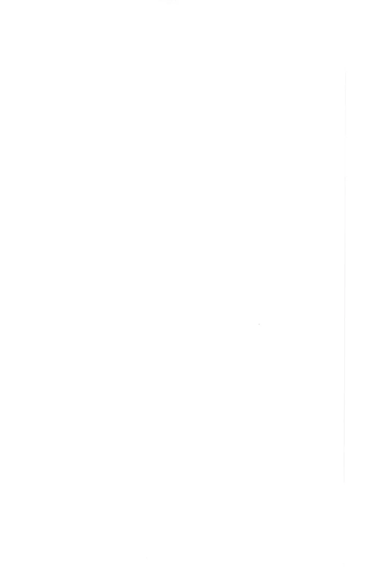 (C105) [Kaishaku (Kaishaku)] Wo Ai Ni I LOVE YOU (Ranma 1/2) numero di immagine  6