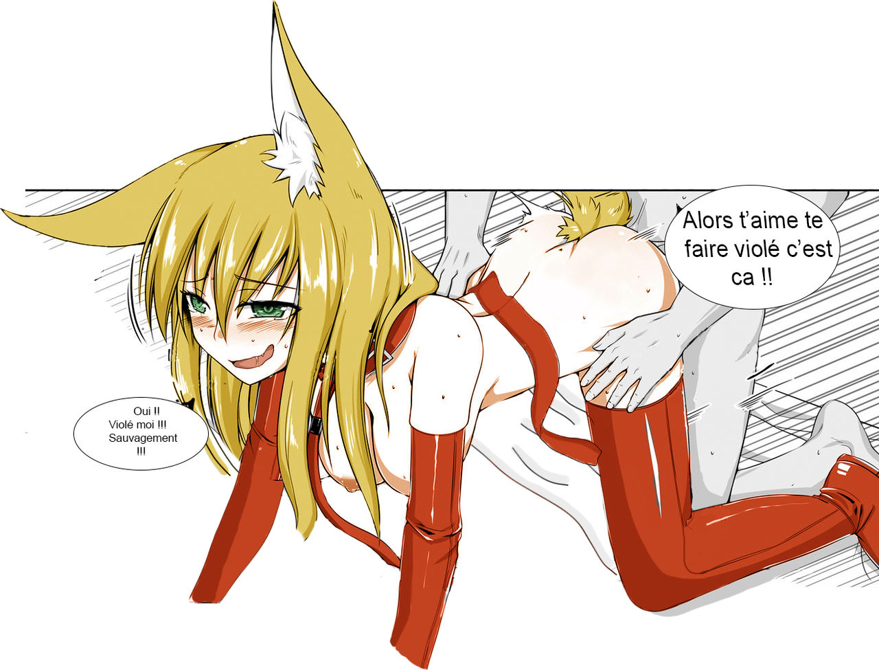 Fox mania realse ( french ) 图片编号 7