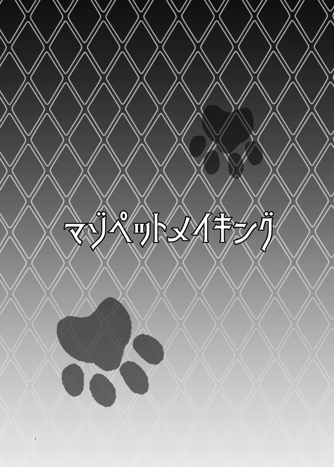 [Dokoka no Yosumi (Sumizumi Yosumi)] Maso Pet Making (Pokémon Black 2 and White 2) [Digital] numero di immagine  3