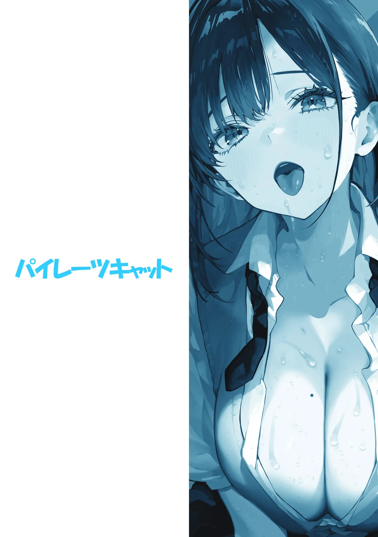 [Pirates Cat] Yaribeya | 炮房 [Chinese] [白杨汉化组] [Digital] 画像番号 78