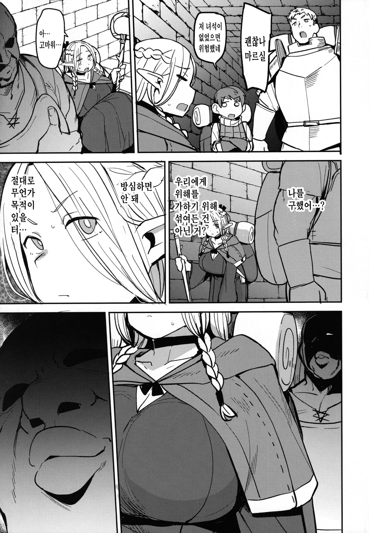 (C106) [North70 (Nanao Yukiji)] Chin Ochi Donkusa Elf (Dungeon Meshi) [Korean] 图片编号 6