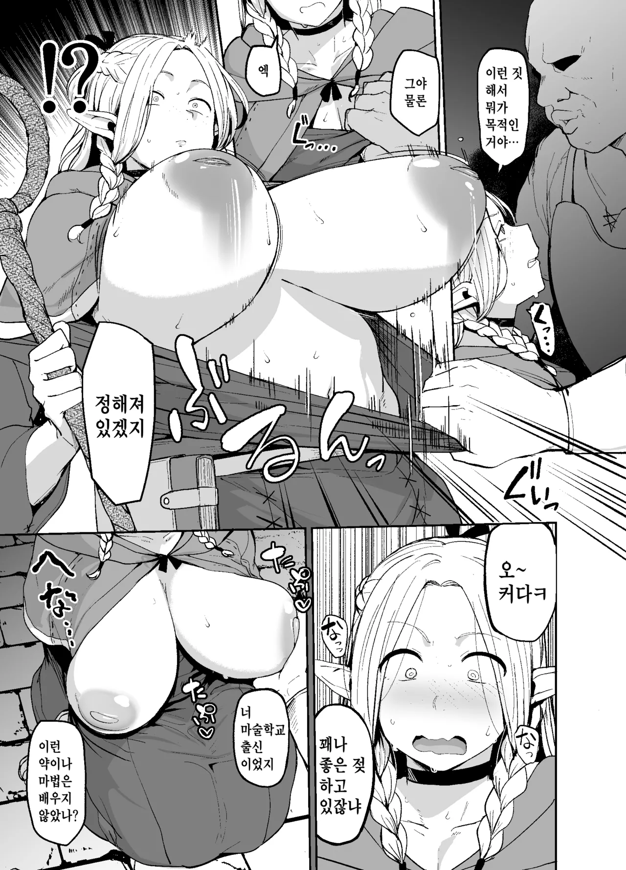 (C106) [North70 (Nanao Yukiji)] Chin Ochi Donkusa Elf (Dungeon Meshi) [Korean] 图片编号 10