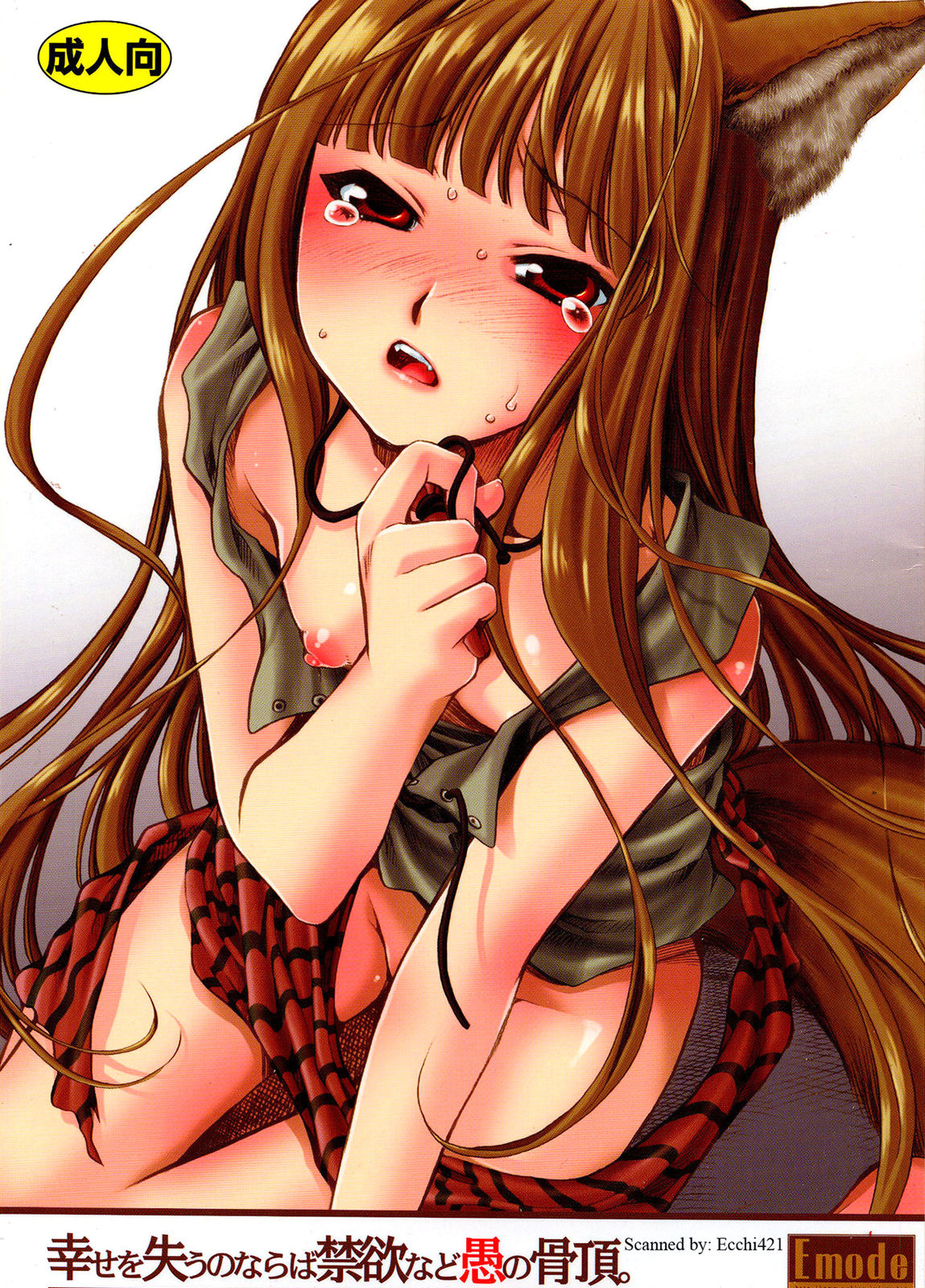 (C72) [Emode (Sanada Rin)] Shiawase o Ushinau Naraba Kinyoku Nado Gu no Kocchou (Spice and Wolf) [English] numero di immagine  1