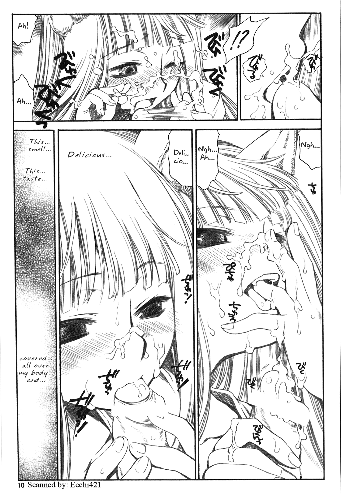 (C72) [Emode (Sanada Rin)] Shiawase o Ushinau Naraba Kinyoku Nado Gu no Kocchou (Spice and Wolf) [English] numero di immagine  9