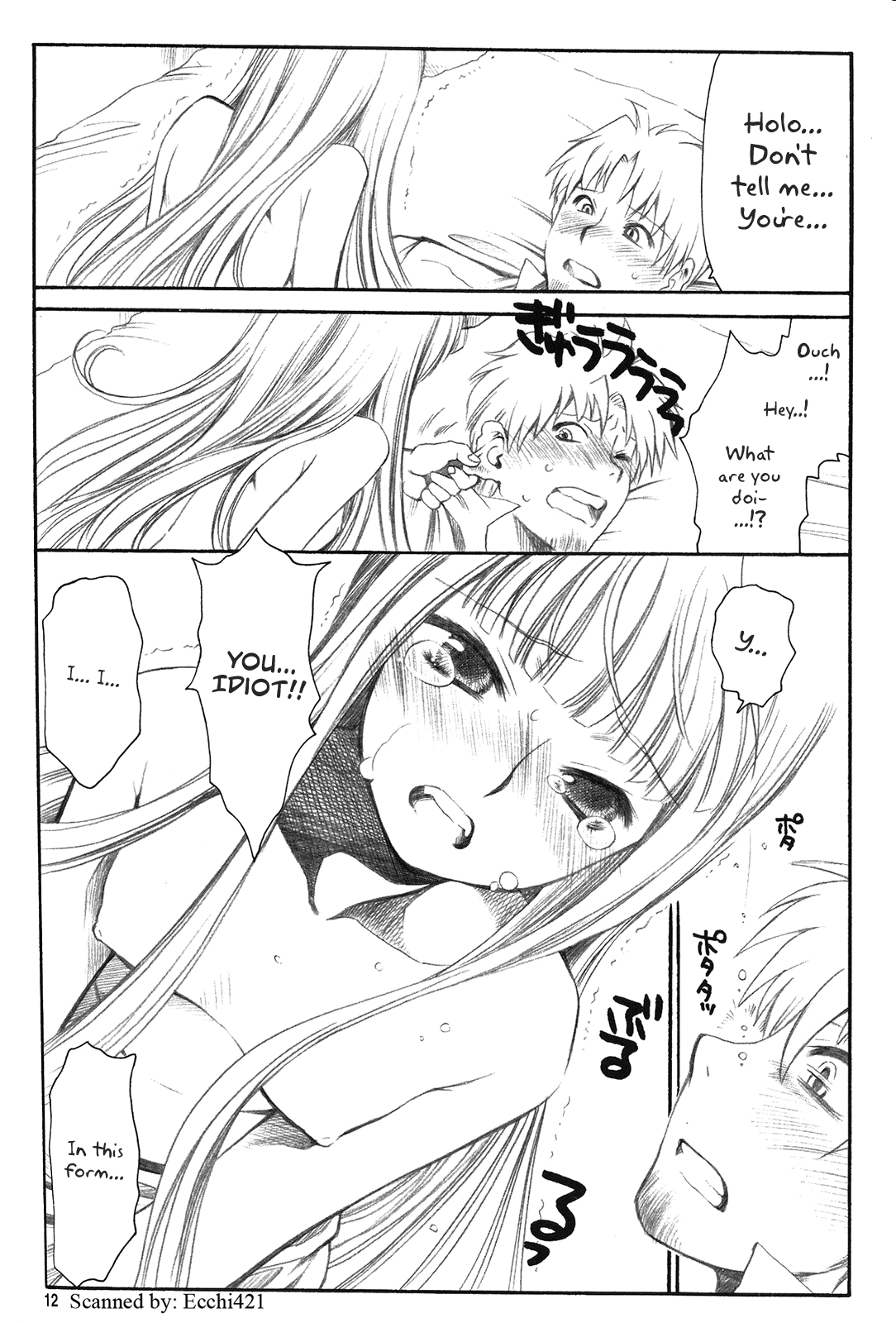 (C72) [Emode (Sanada Rin)] Shiawase o Ushinau Naraba Kinyoku Nado Gu no Kocchou (Spice and Wolf) [English] numero di immagine  11