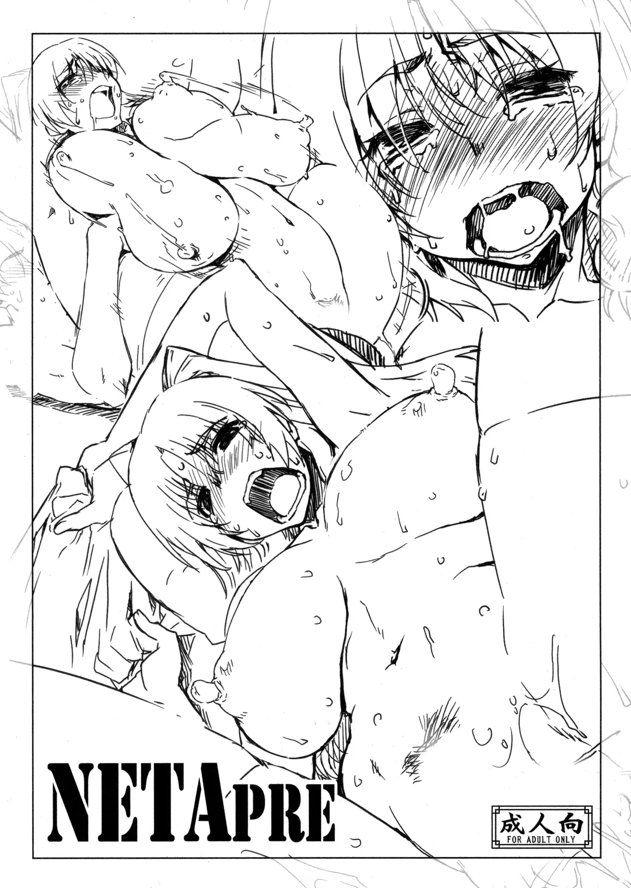 (C89) [Sago-jou (Seura Isago)] NETApre (ToHeart2) [Chinese] [不咕鸟汉化组] Bildnummer 1