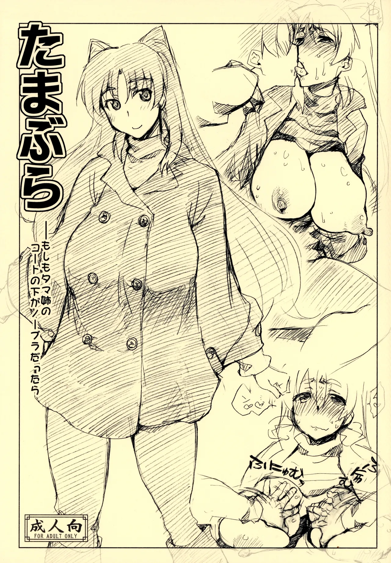 (C81) [Sago-Jou (Seura Isago)] Tamabura (ToHeart2) [Chinese] [不咕鸟汉化组] imagen número 1