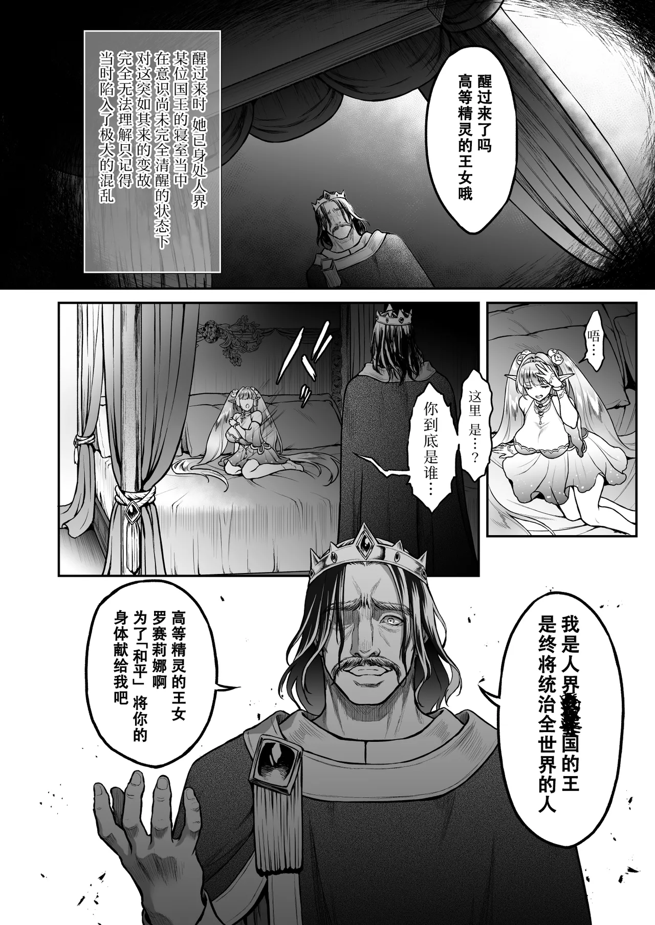 悠久の娼エルフ6 〈夢幻〉過去編Ⅰ (オリジナル) [DL版] [无修正] [佐宗棠个人汉化] image number 8