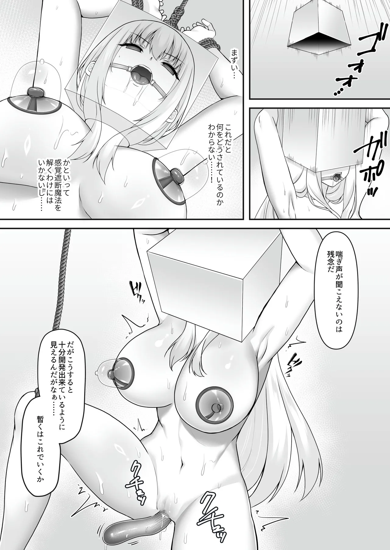 遮断賢者 ～百年生きた女賢者は囮捜査で感覚遮断魔法を使います～ image number 15