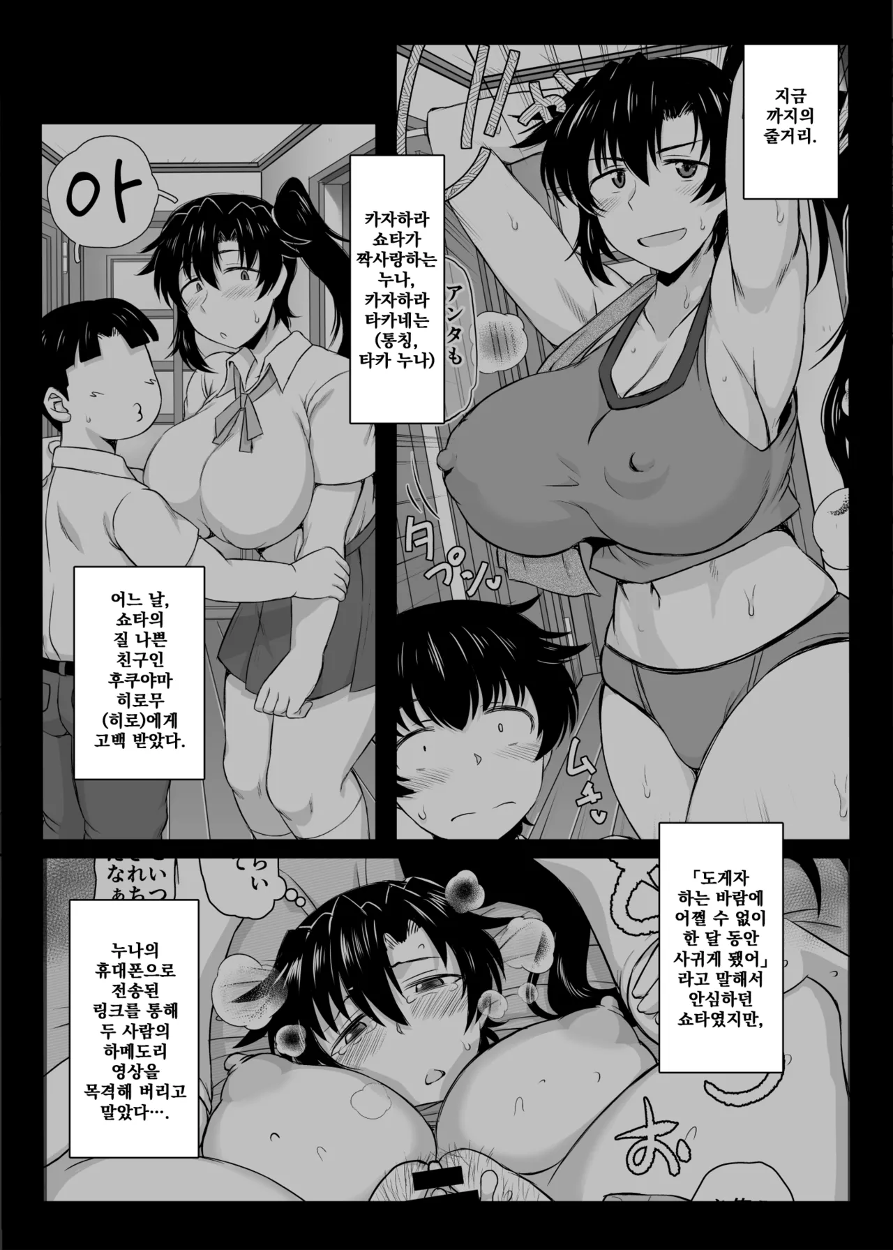 [Deep valley] Anetorare C106 Kaijou Gentei Hon [Korean] [Digital] 图片编号 3