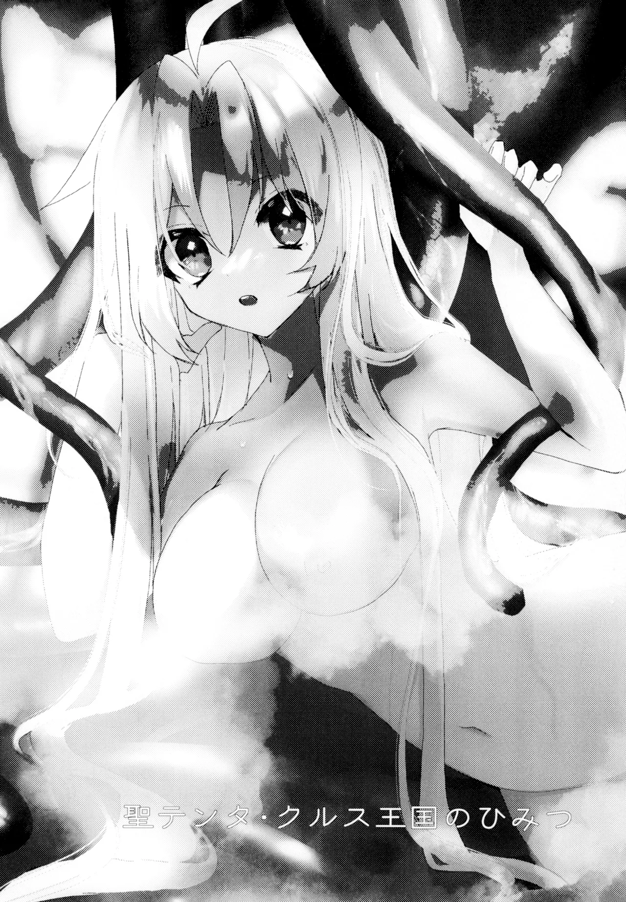 [SOTOKARASATTO (山本泓音)] 聖テンタ・クルス王国のひみつ [DL版] 图片编号 3