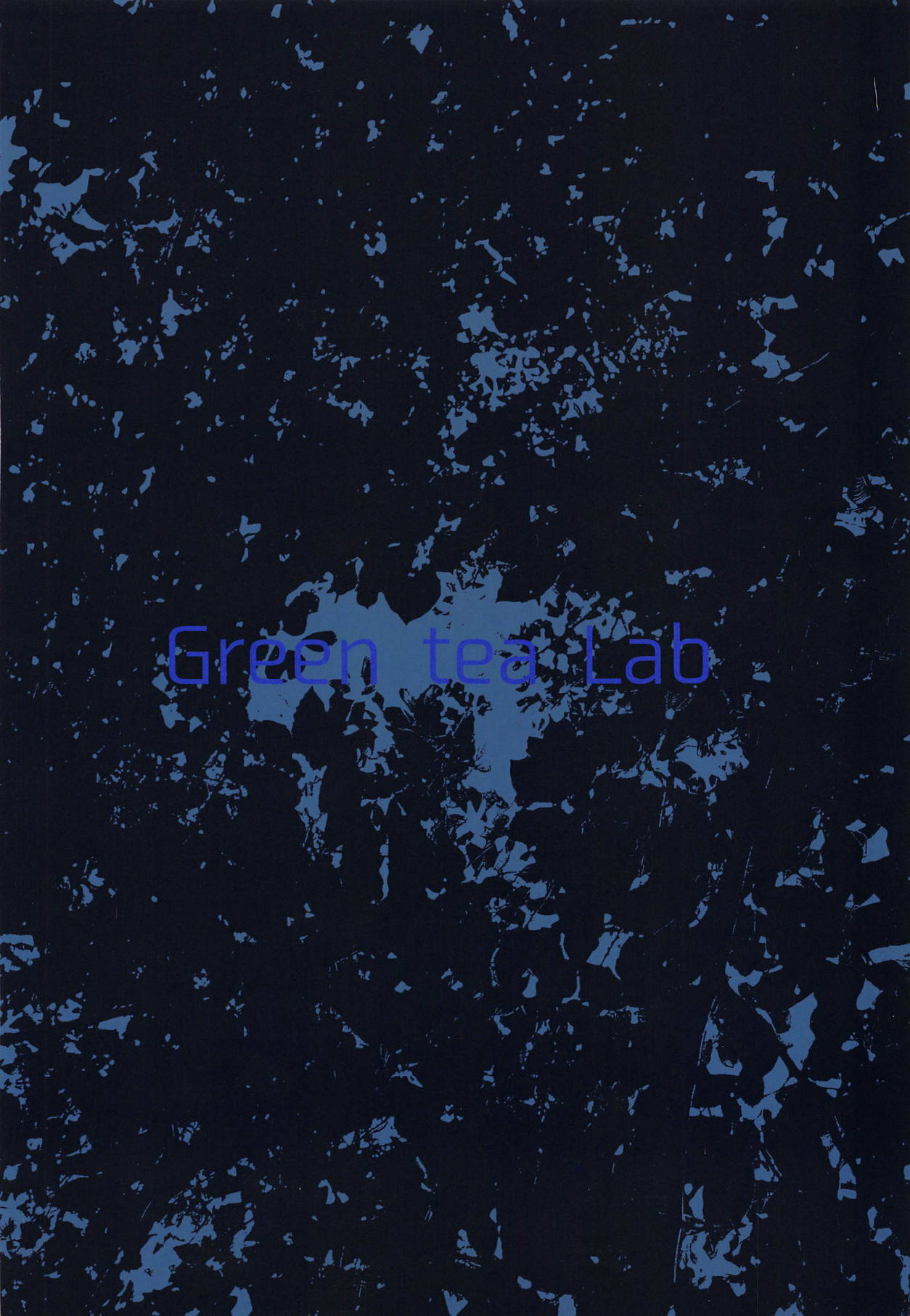 (C95) [Green tea Lab (midarin)] Inwai Hitouban (Touhou Project) [Chinese] [粘腻衾下魅汉化] image number 26