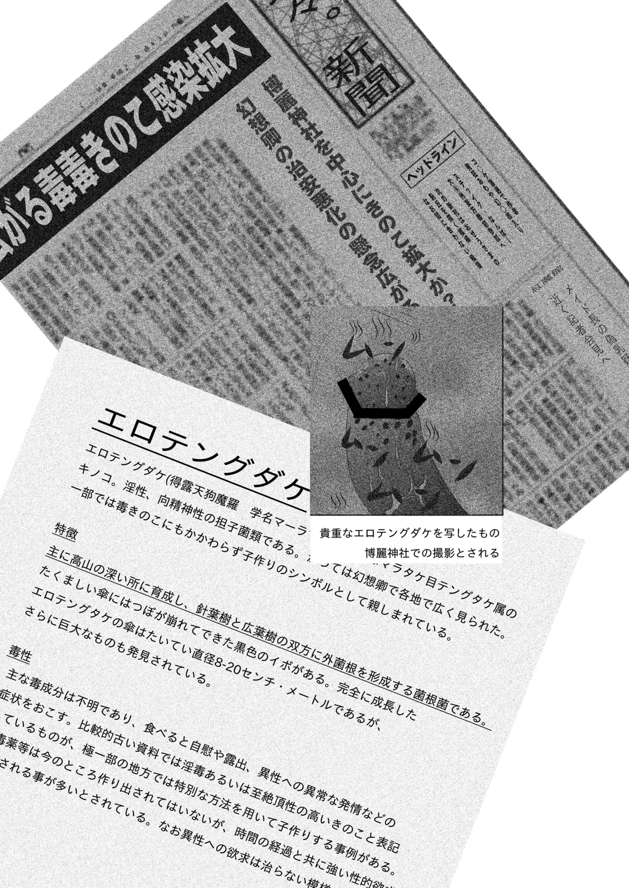 [Stick Number (Korone Shousa)] Reimu no Tokutoku Kinoko Go Ranshin (Touhou Project) [Digital] numero di immagine  3