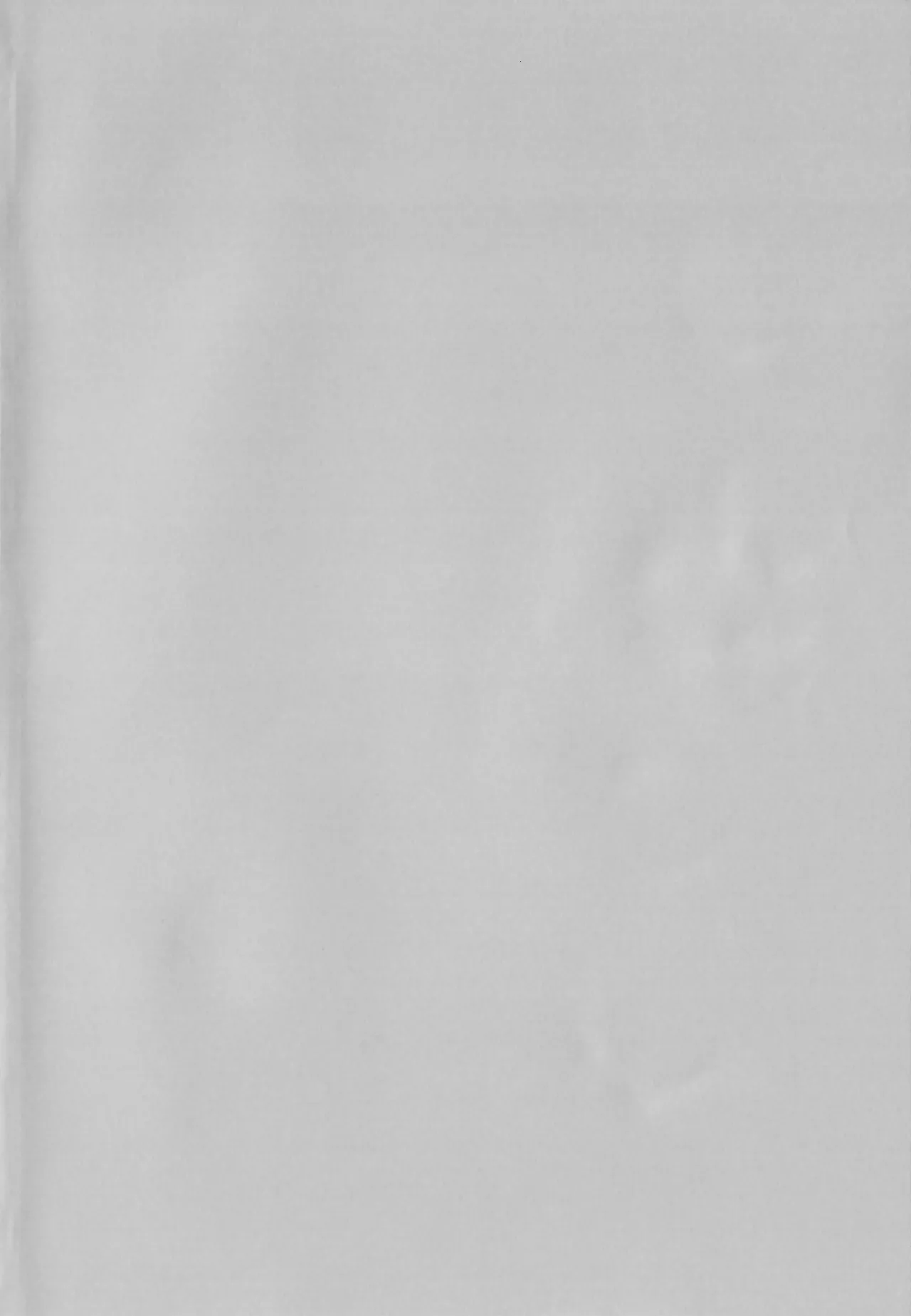 (Kemoket 16) [Kaiten ParaDOGs (Minaga Tsukune)] The Sassy Little Fox and Wolf-kun 图片编号 3