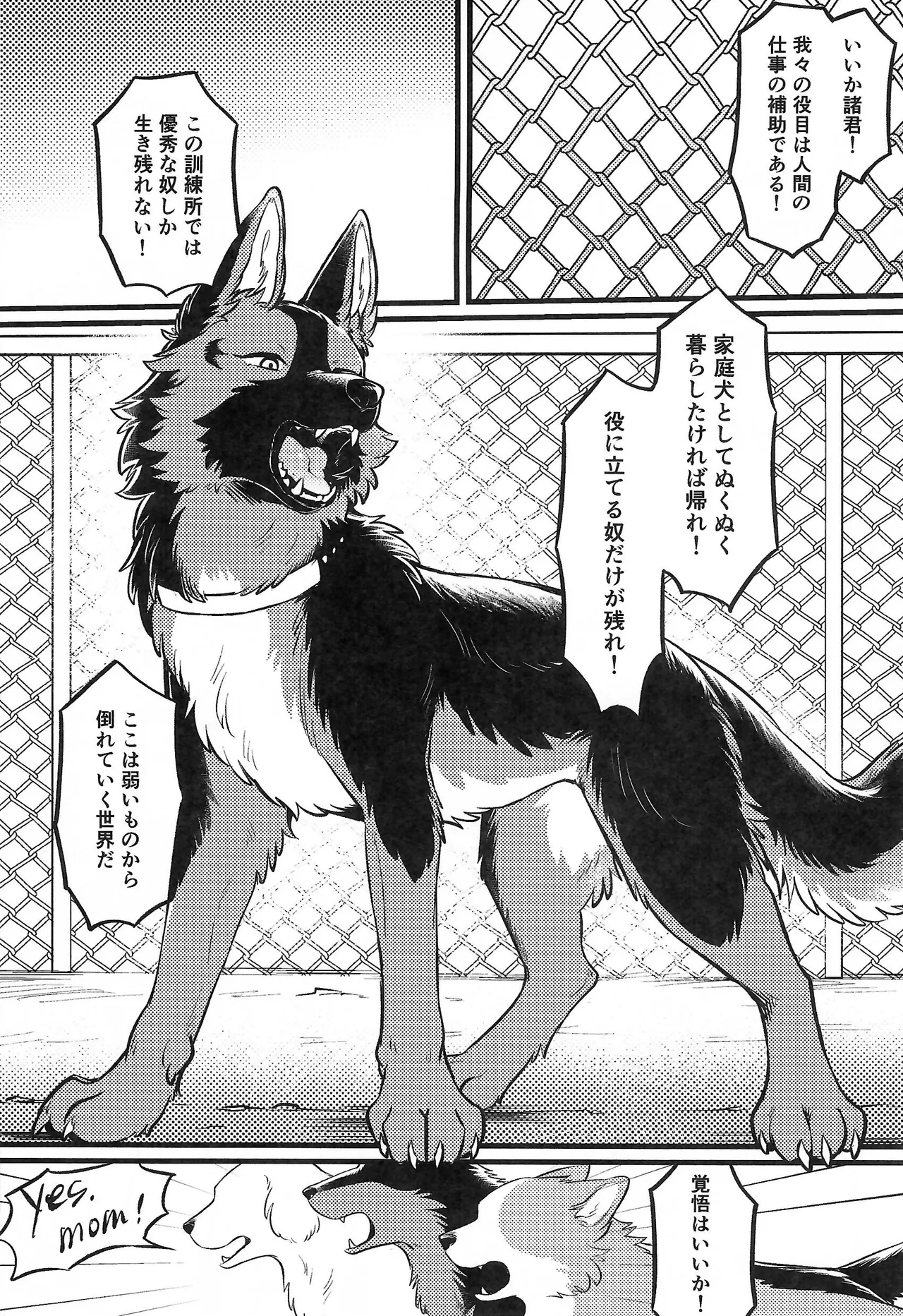 (Kemoket 16) [Kaiten ParaDOGs (Minaga Tsukune)] Top-Secret Midnight Training image number 4