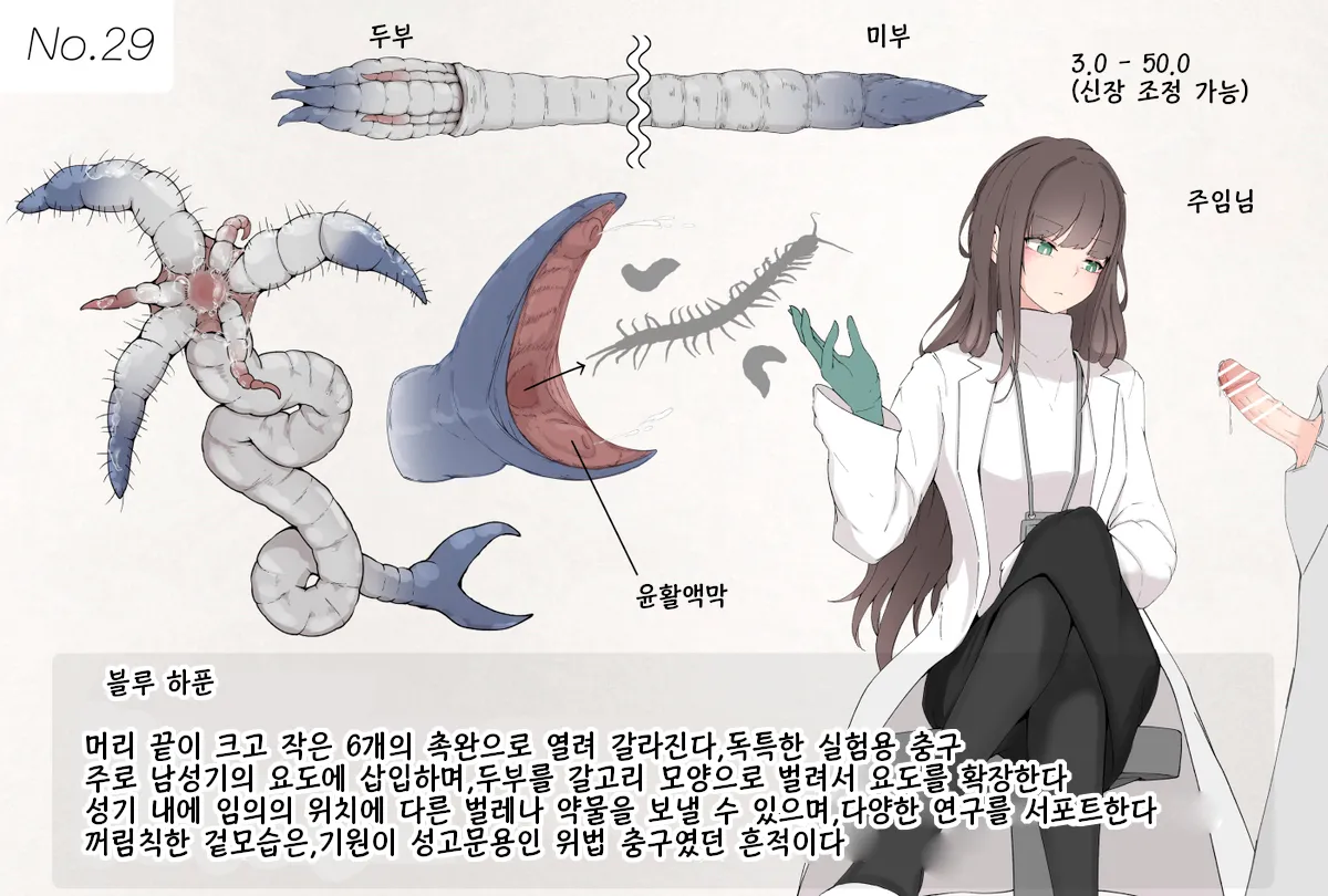 [gura] Insect Research Report No.029 [korean] image number 1