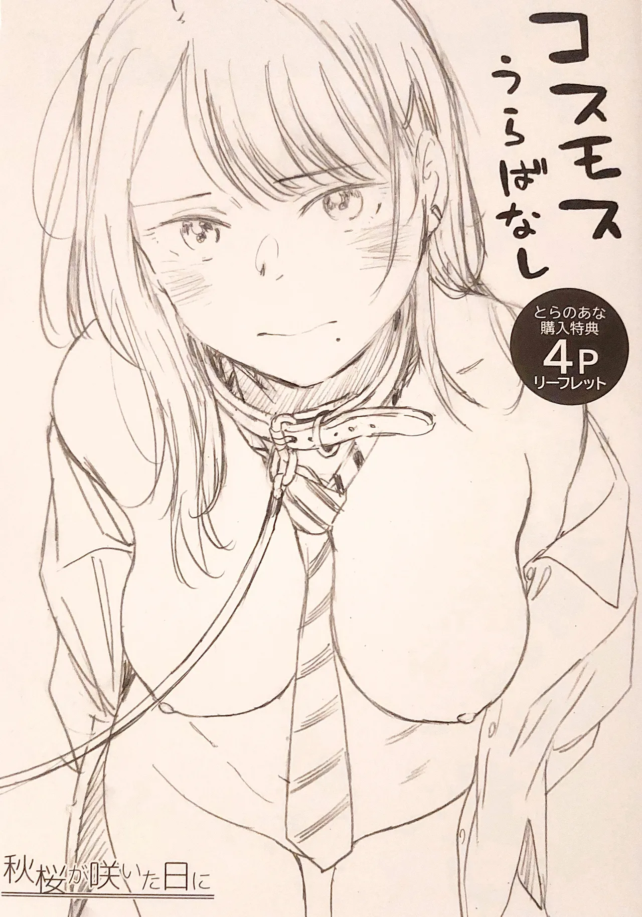 [Arai Kei] Cosmos ga Saita hi ni Toranoana Tokuten 4P Leaflet 图片编号 1