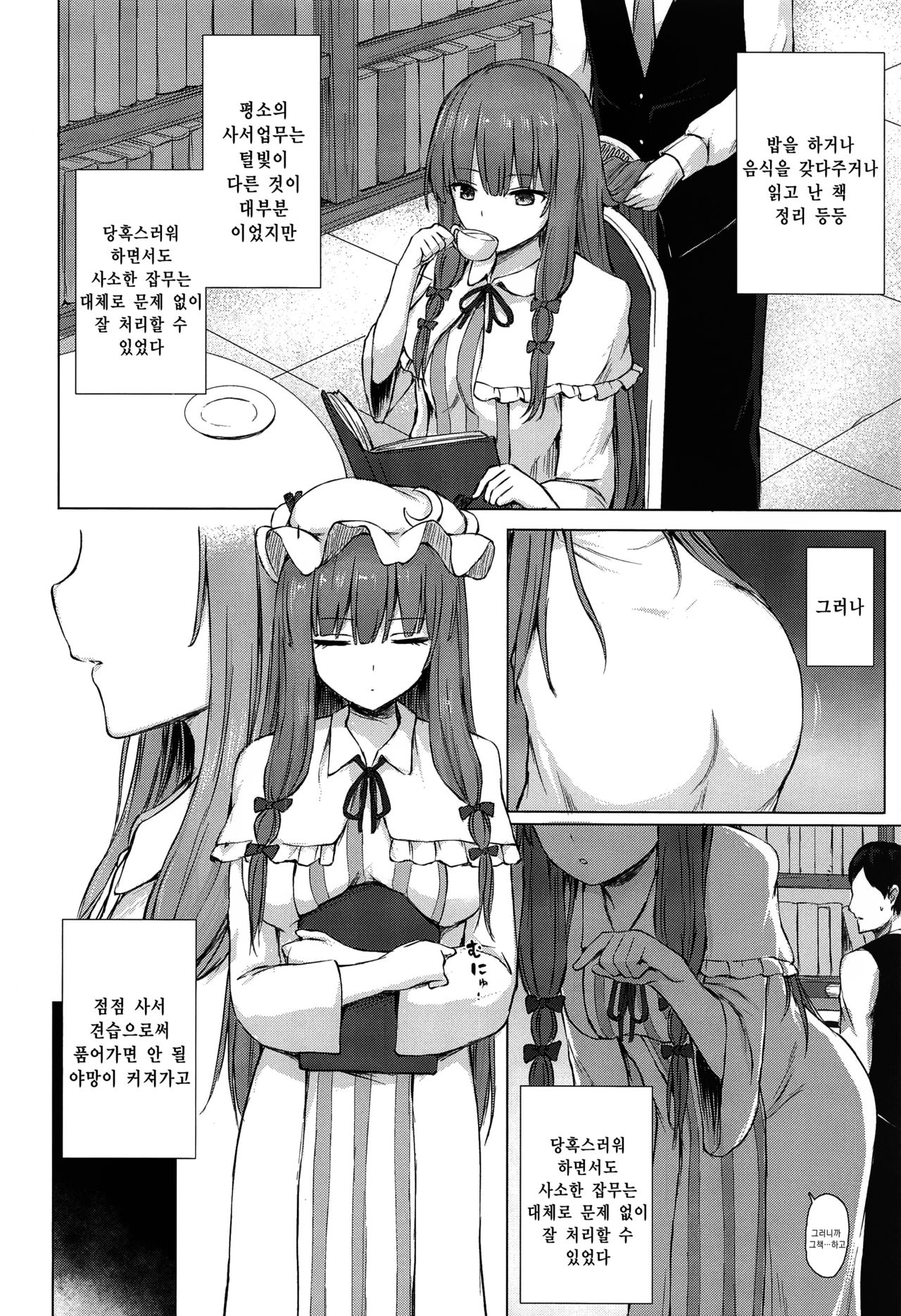 (Meikasai 14) [Tekomenchi (Techi)] Patchouli Knowledge Kaihatsu Kiroku | 파츄리 널릿지의 쾌발기록 (Touhou Project) [Korean] [죽기싫다냥] imagen número 3