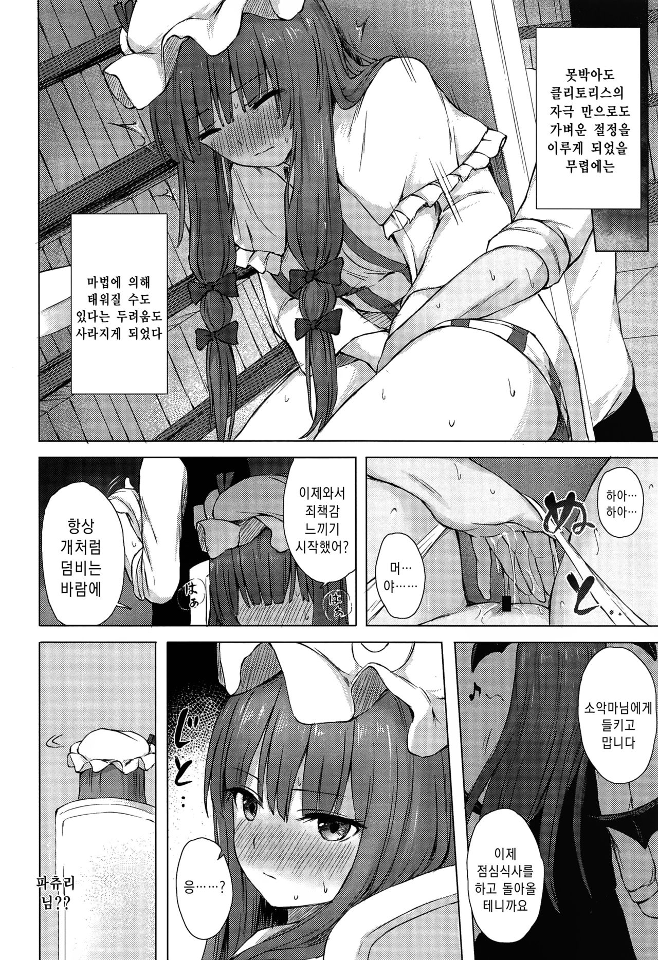 (Meikasai 14) [Tekomenchi (Techi)] Patchouli Knowledge Kaihatsu Kiroku | 파츄리 널릿지의 쾌발기록 (Touhou Project) [Korean] [죽기싫다냥] 13eme image