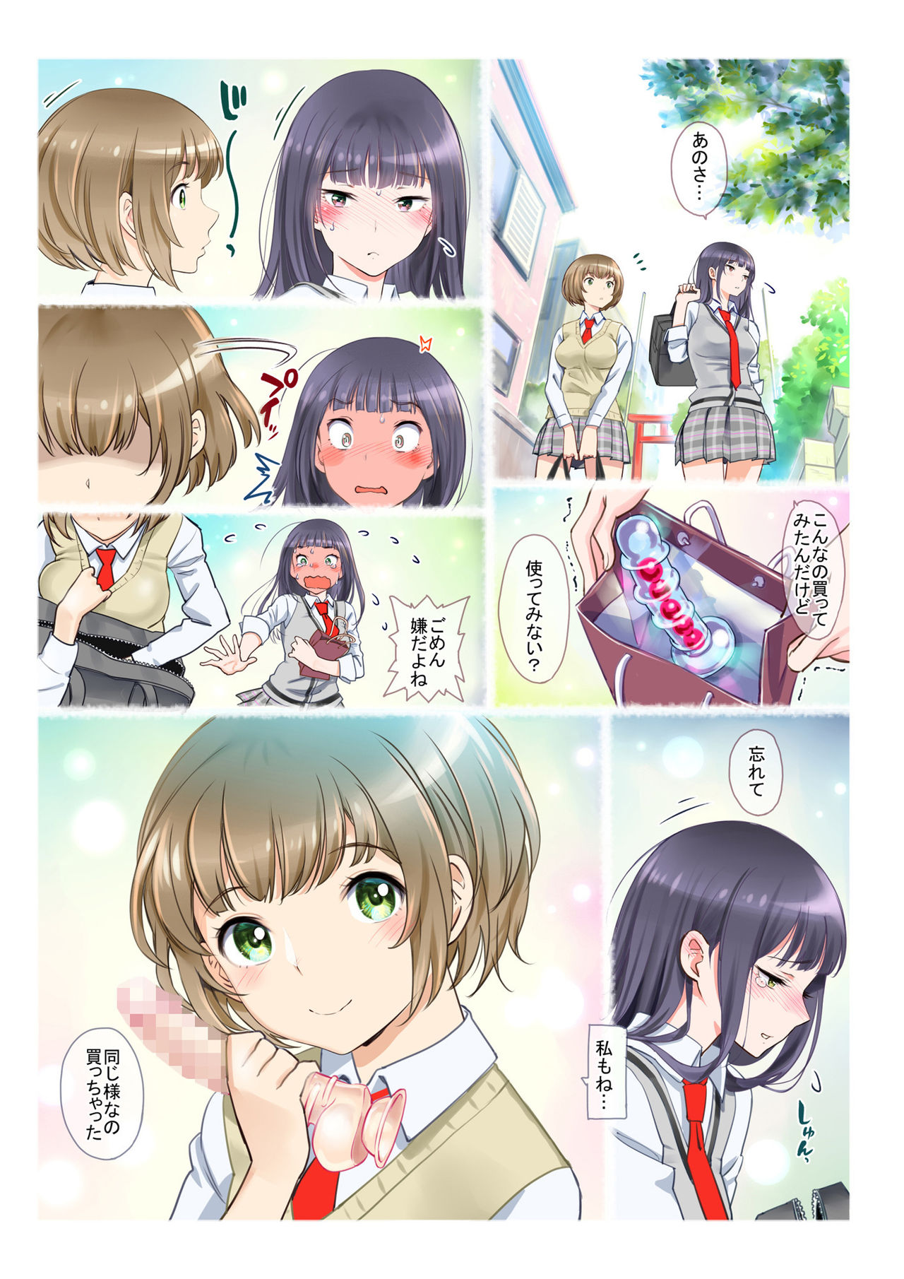 [Miyabi] JK Et Cetera 이미지 번호 11