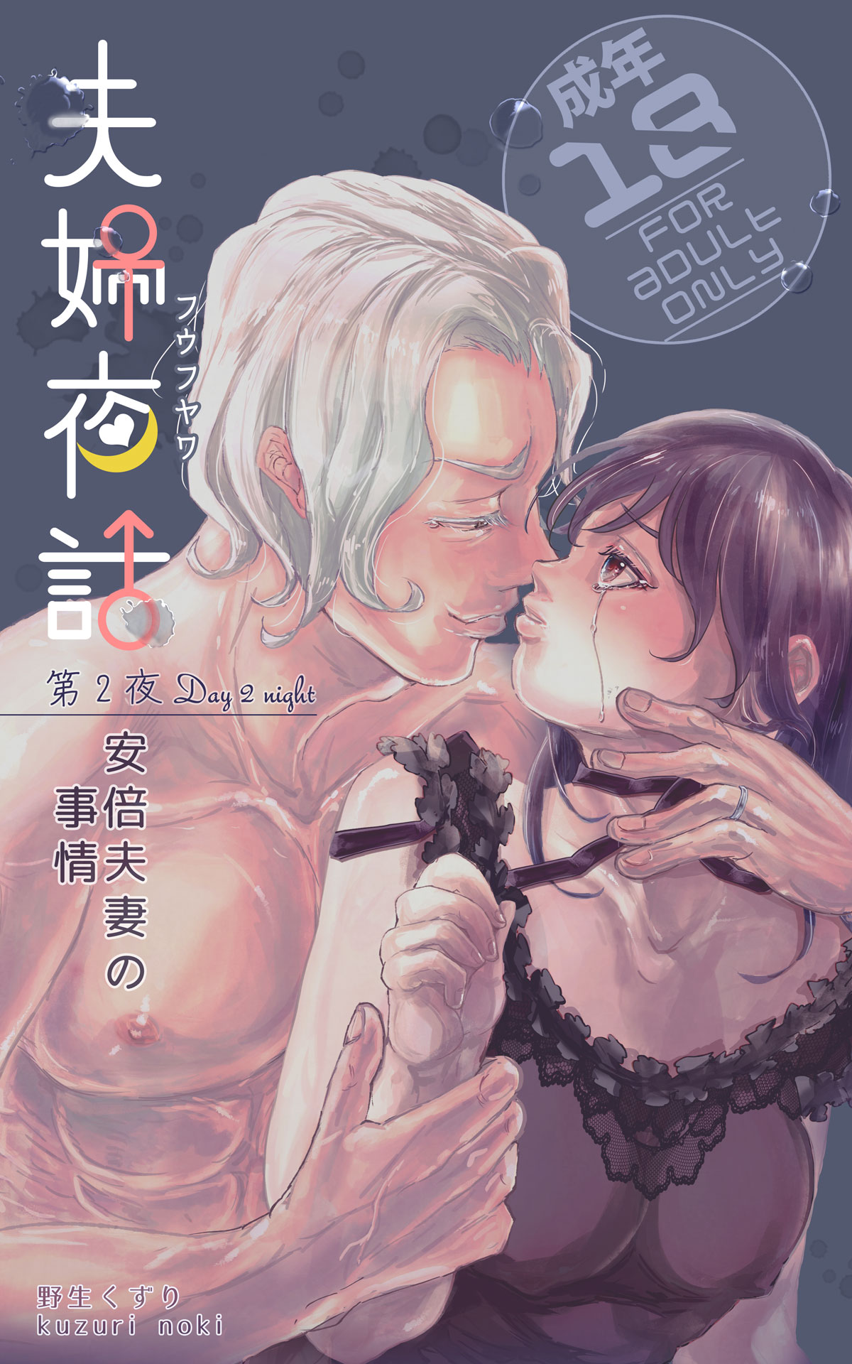 [Kuzuri] [Tokuten-ban] Fuufu Yawa Dai 2-ya ~ Abe Fusai No Jijou ~ 이미지 번호 1