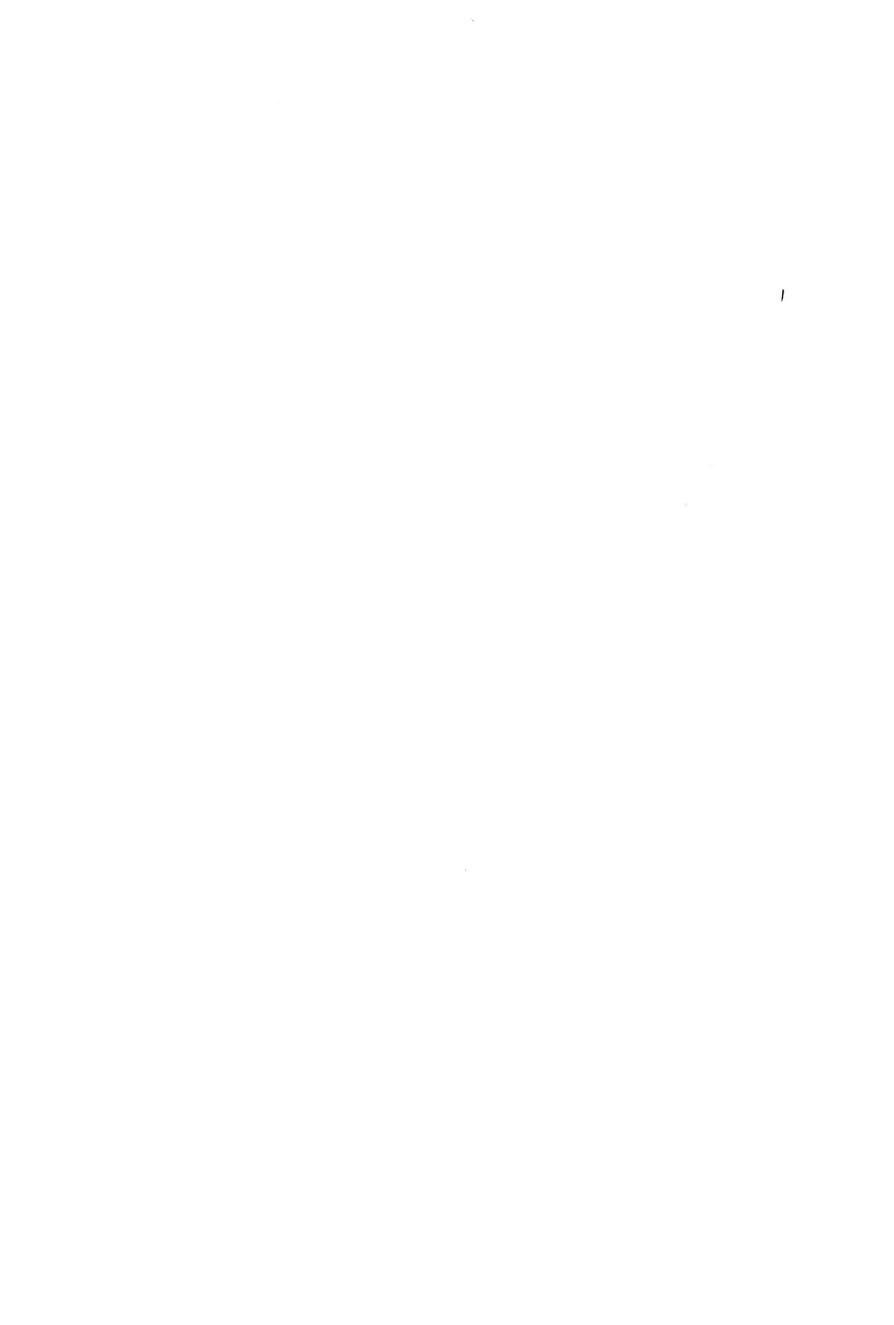 (What the Super Hell!? 2025) [Sainage (Udoku)] Dazzling Starfire (Helluva Boss) Bildnummer 2