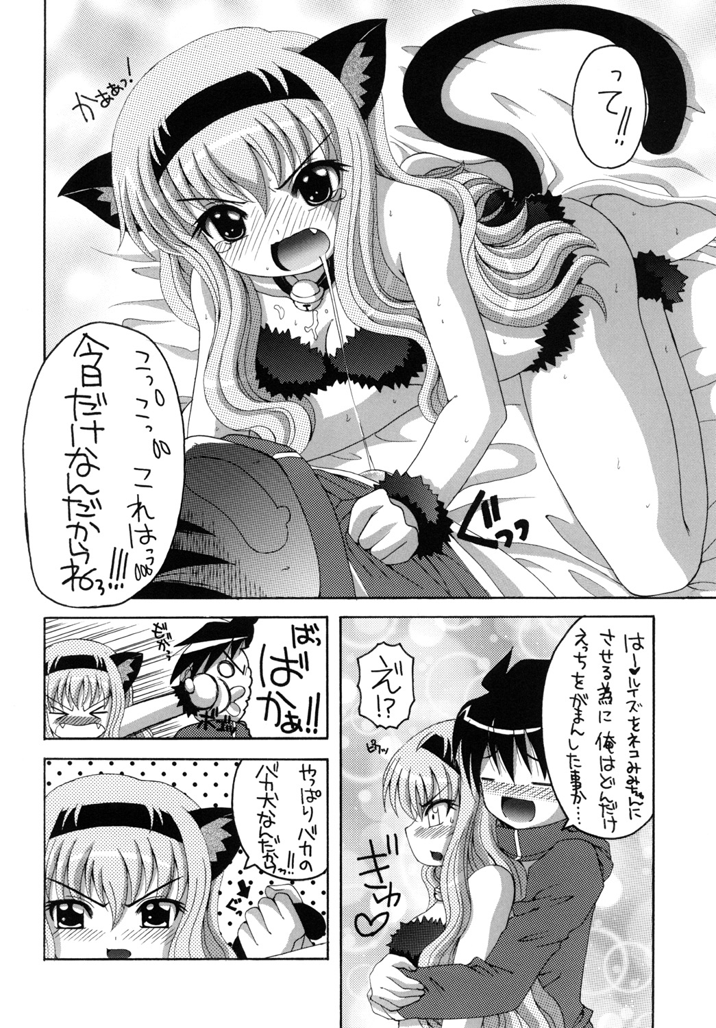 [Yukimi Honpo]Nekomimi Louise-tan(Zero no Tsukaima) Bildnummer 11