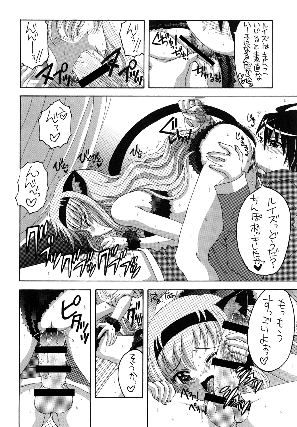 [Yukimi Honpo]Nekomimi Louise-tan(Zero no Tsukaima) Bildnummer 13