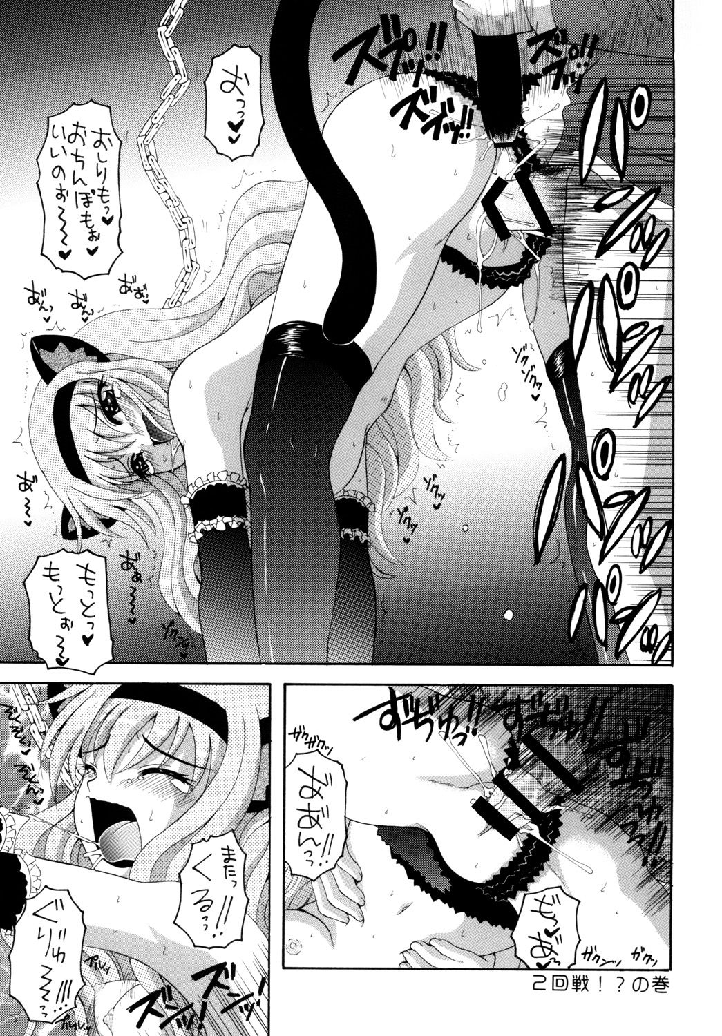 [Yukimi Honpo]Nekomimi Louise-tan(Zero no Tsukaima) Bildnummer 24