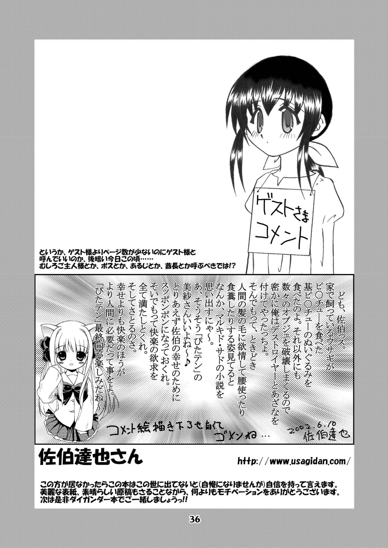 [Youki M.K.C.]Tehi! (Pita Ten) image number 35