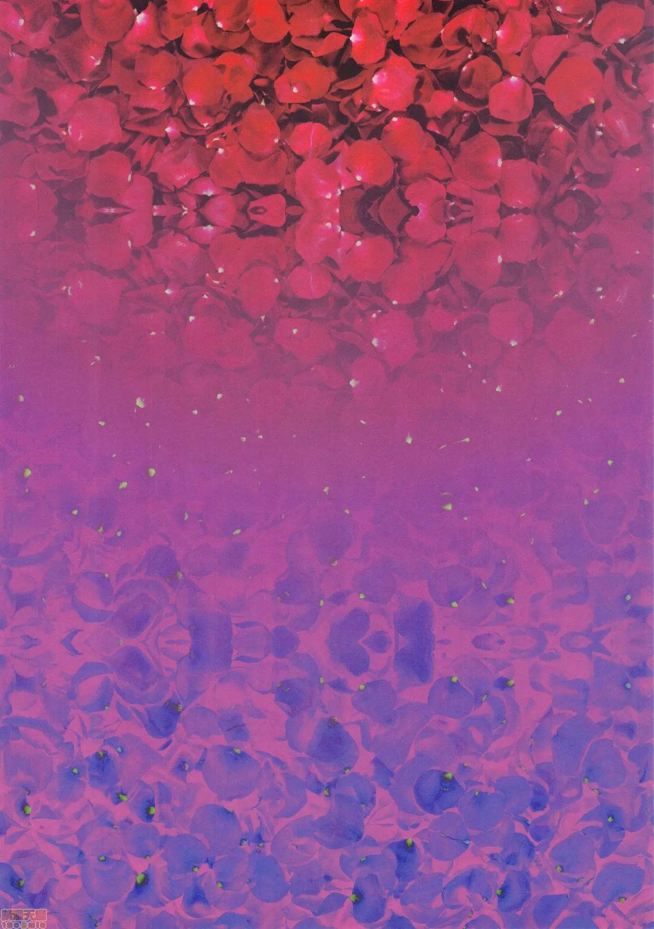 [Aoin] Caba-Jou & Hanauri Musume | La Escort E La Fioraia [Italian] [Digital] image number 2