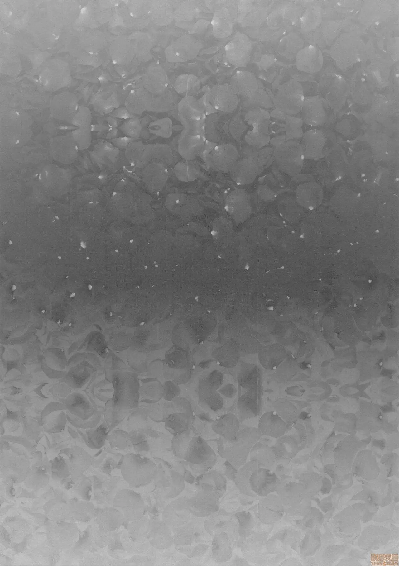 [Aoin] Caba-Jou & Hanauri Musume | La Escort E La Fioraia [Italian] [Digital] image number 12