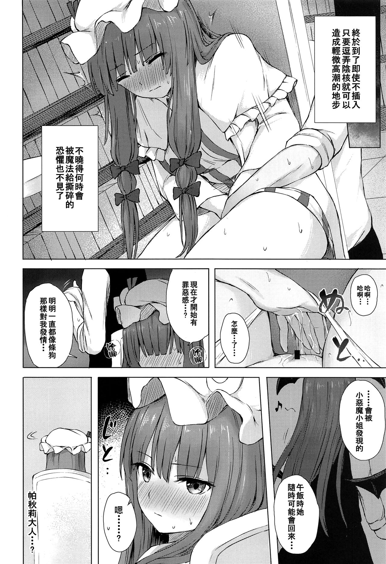 (Meikasai 14) [Tekomenchi (Techi)] Patchouli Knowledge Kaihatsu Kiroku (Touhou Project) [Chinese] [個人漢化] 画像番号 14